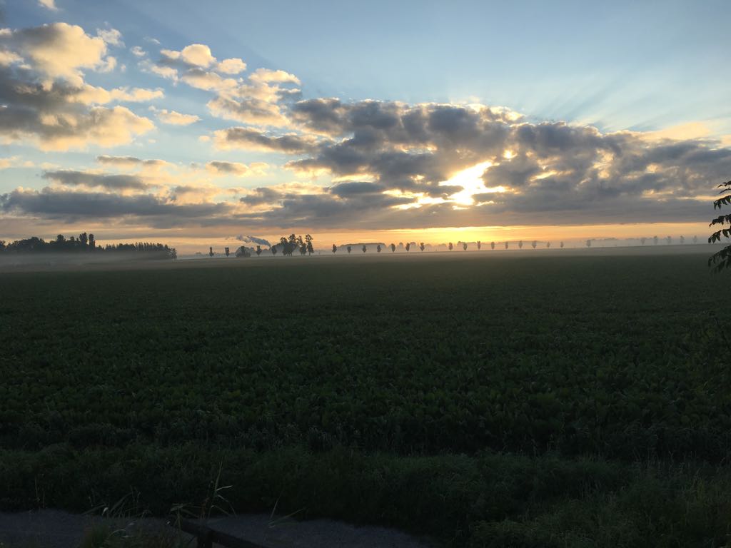 Natuurhuisje in Vrouwenparochie