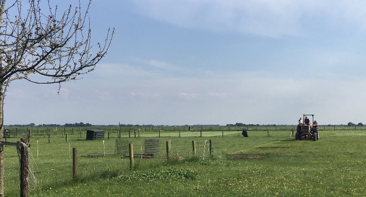 Natuurhuisje in Vrouwenparochie