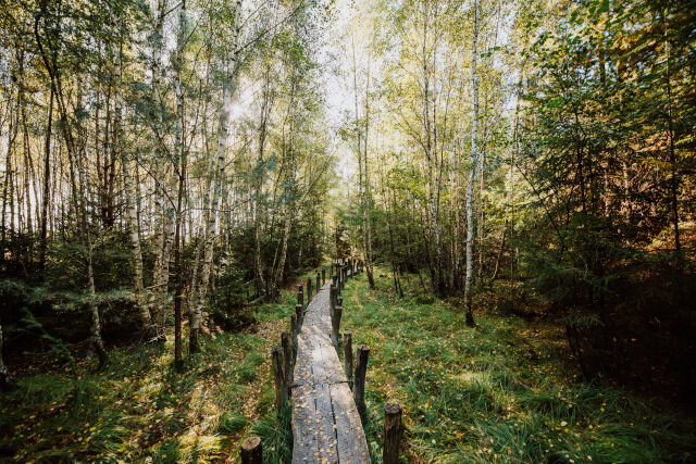 - image: 23
