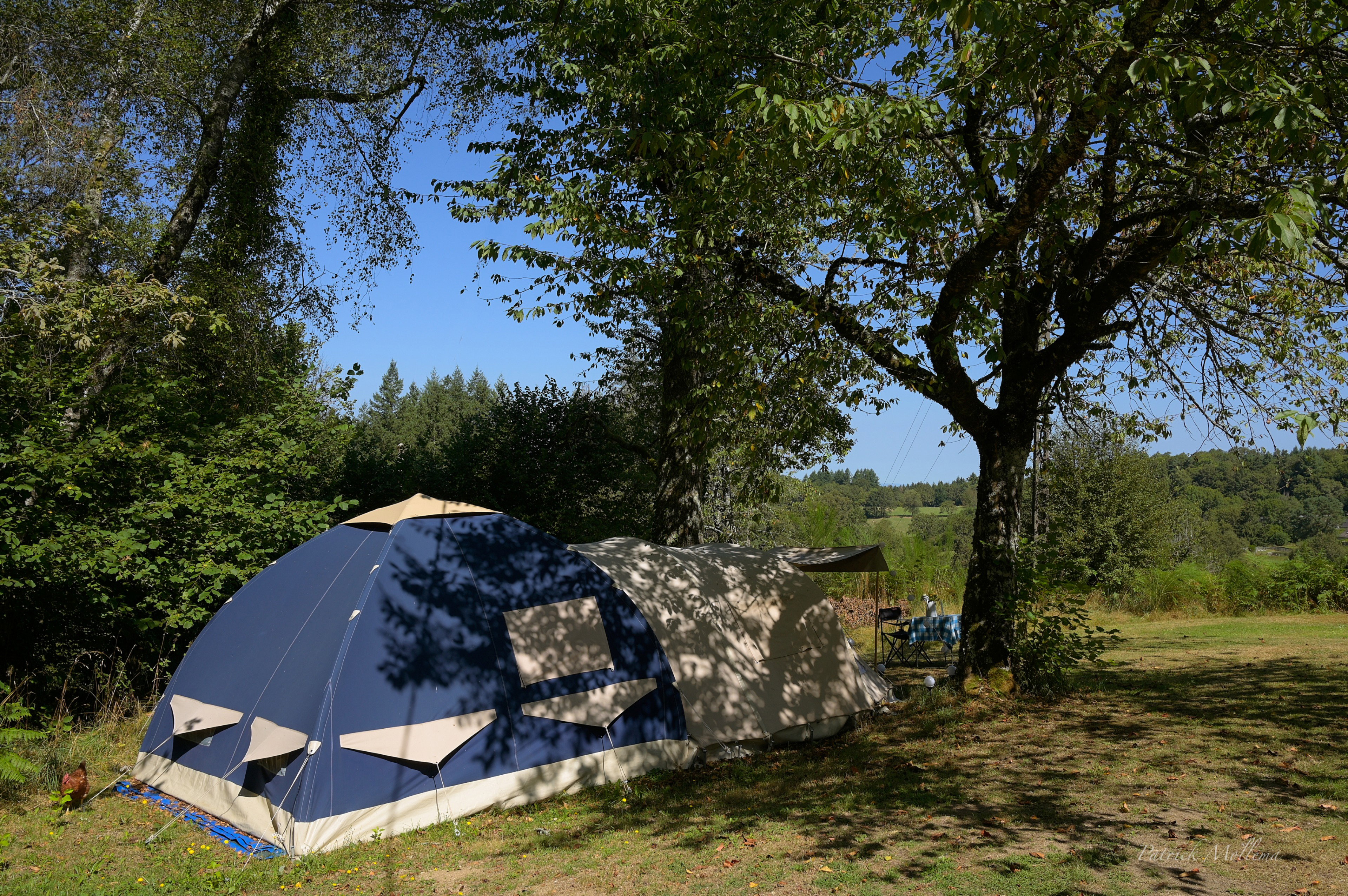 Natuurhuisje in Goulles