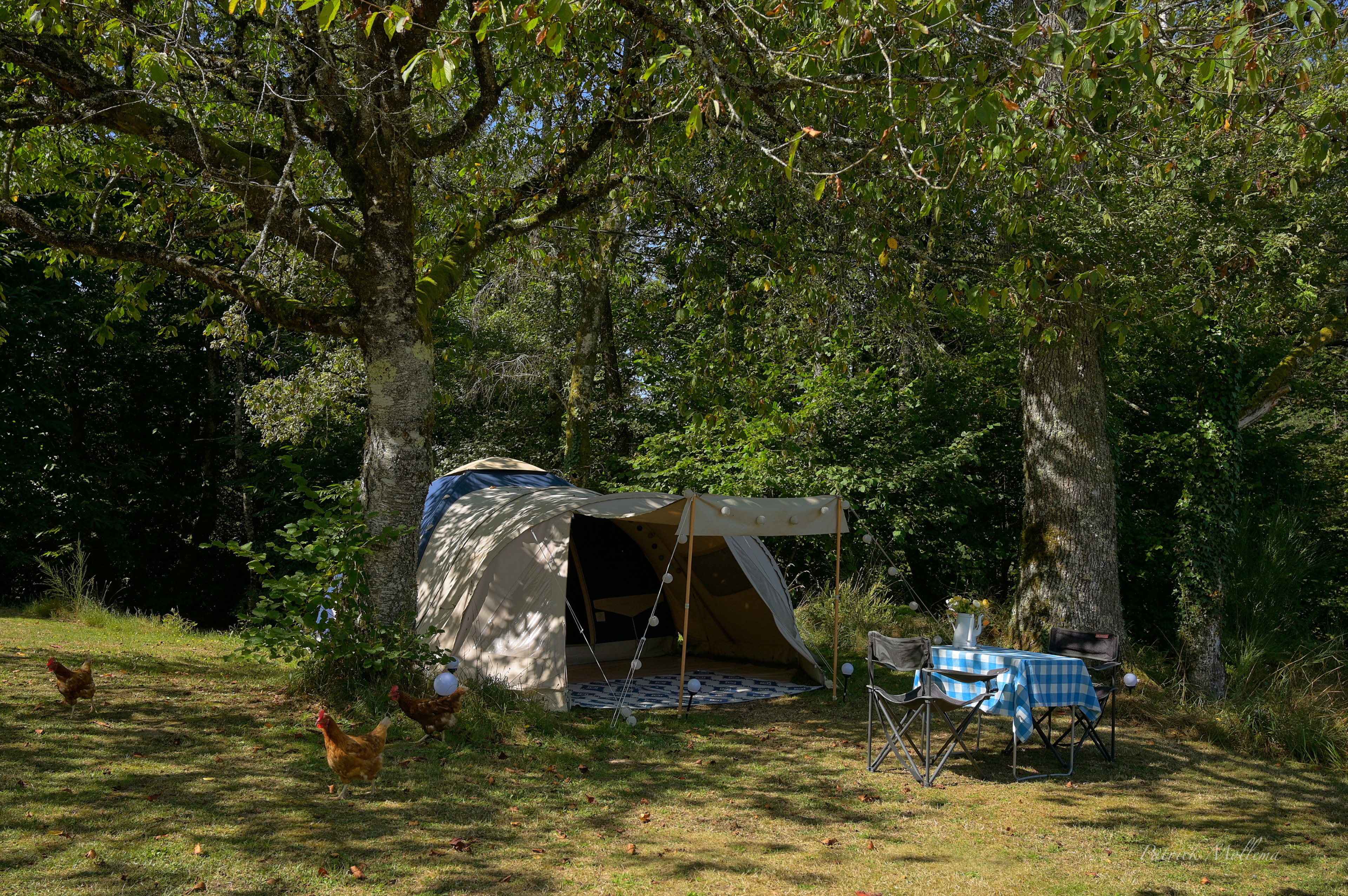 Natuurhuisje in Goulles