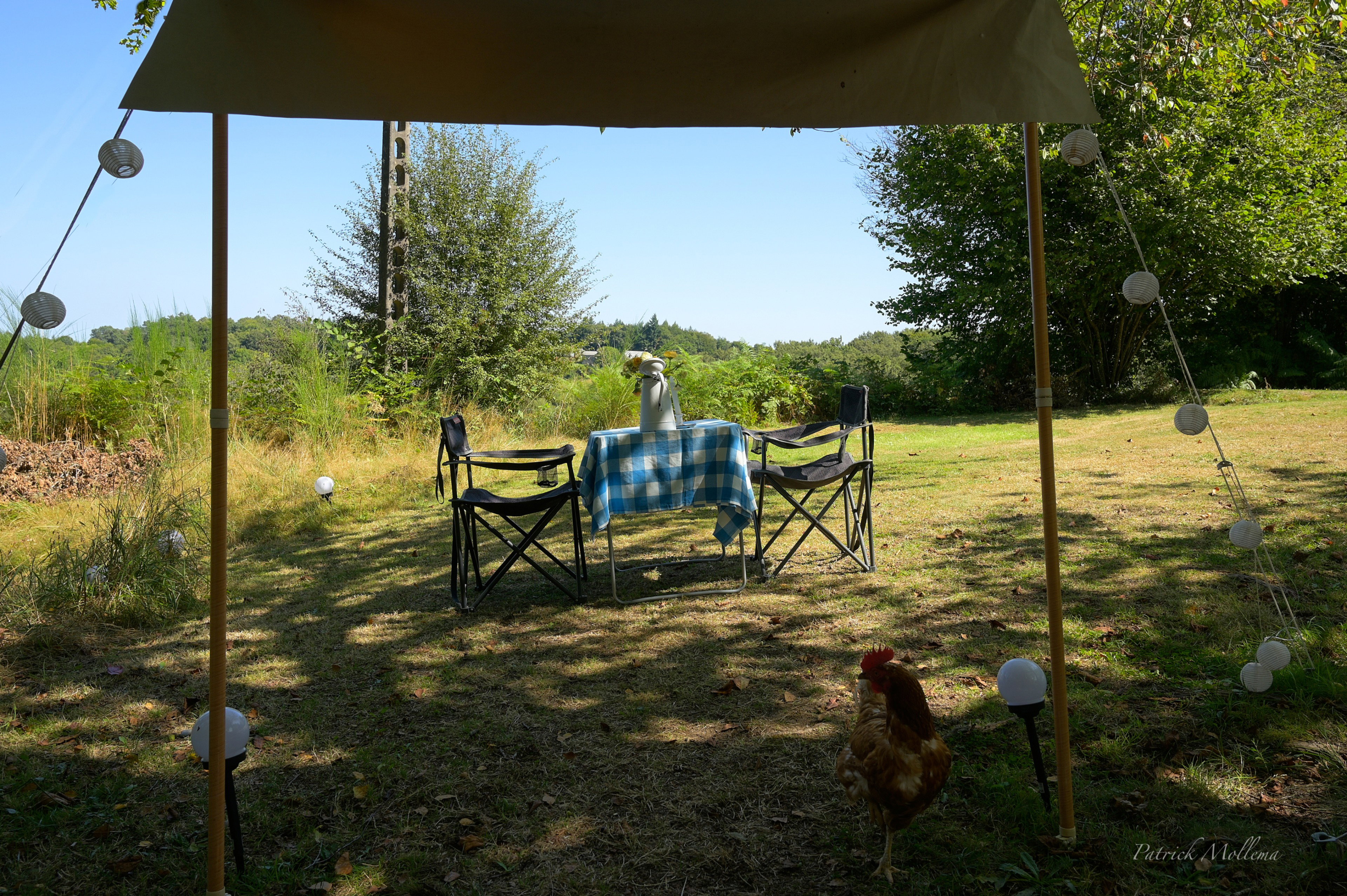 Natuurhuisje in Goulles
