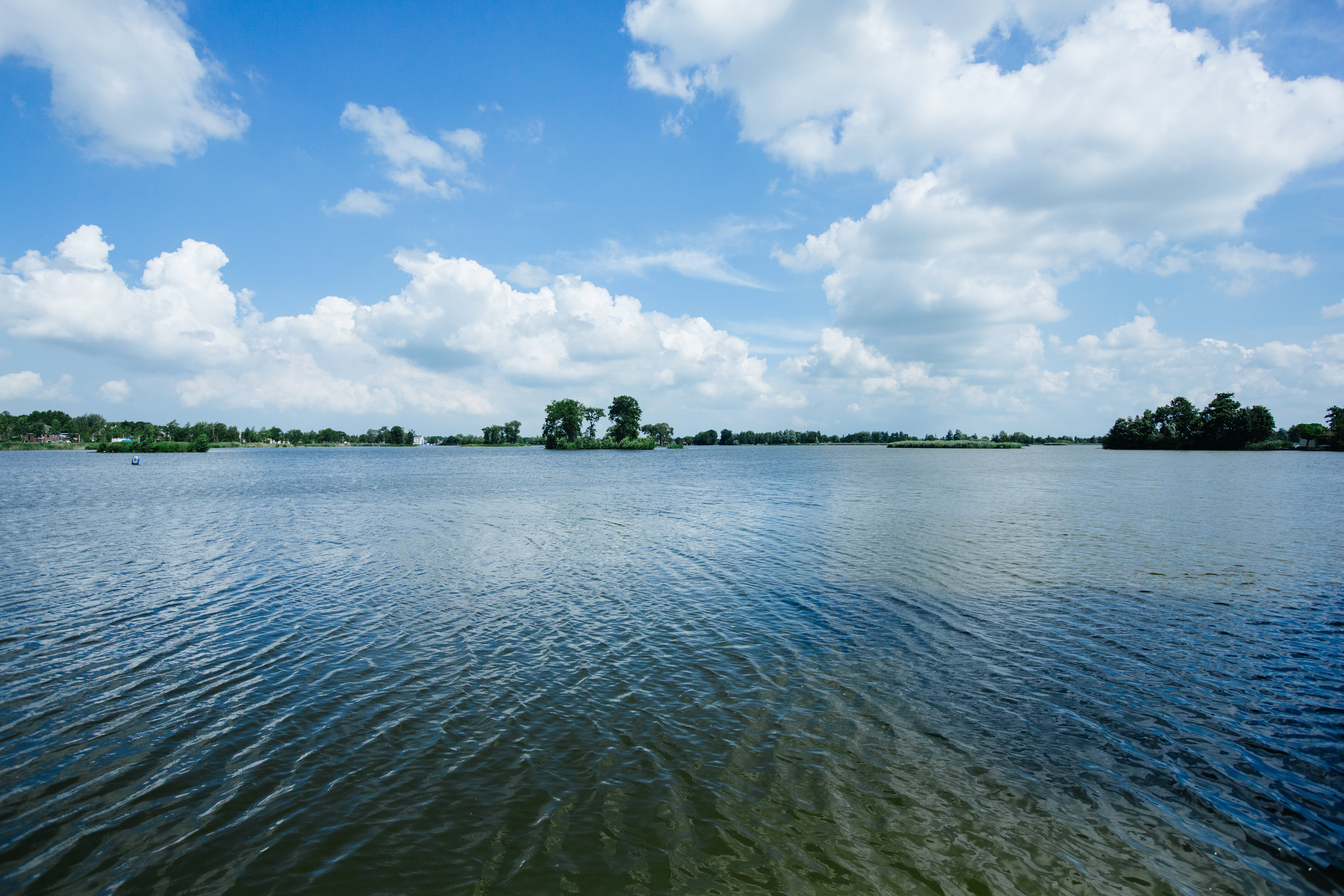 - image: 13