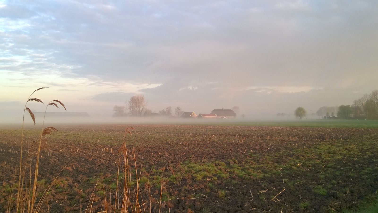 Maison nature à IJsselstein