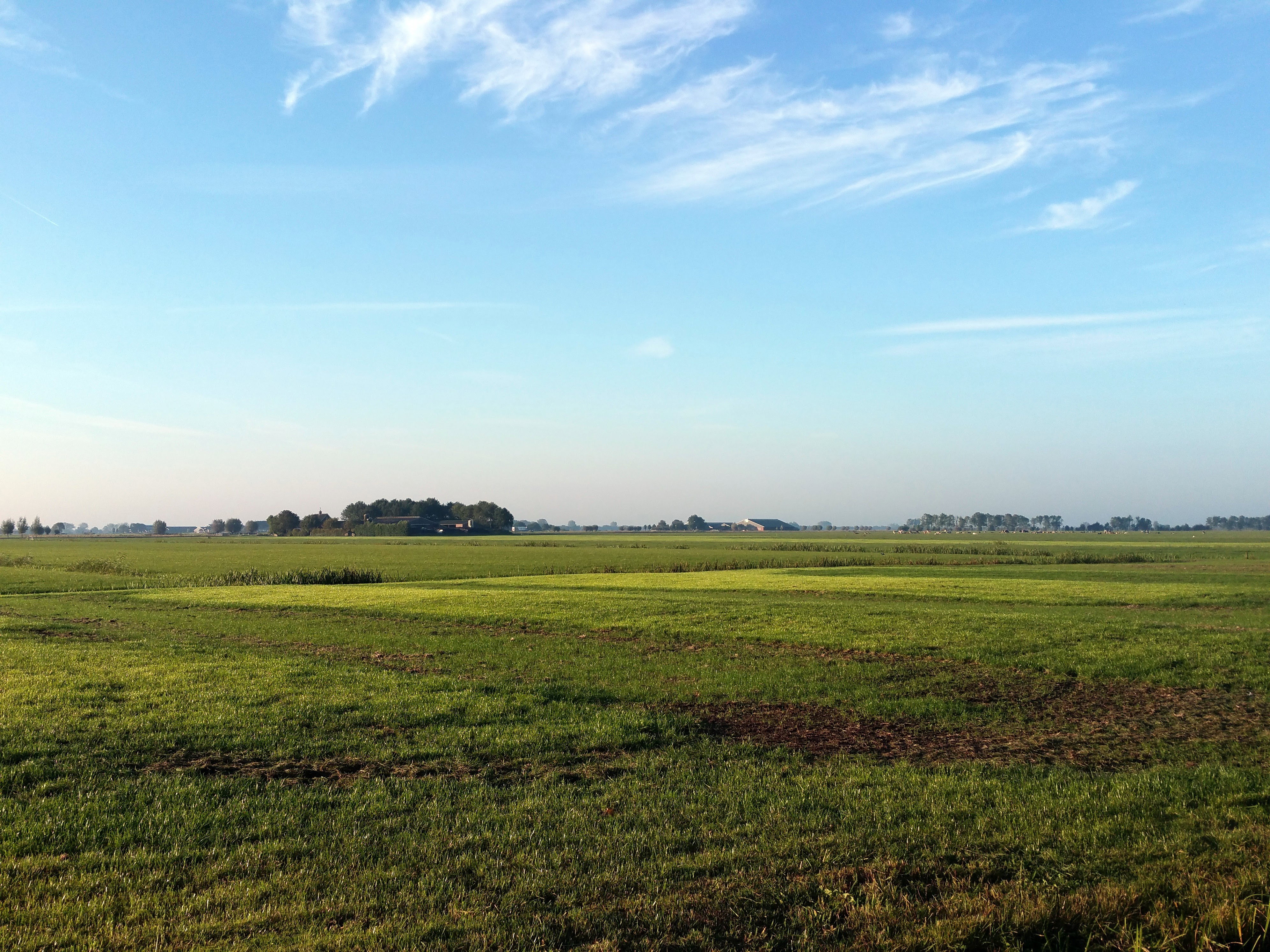 Maison nature à IJsselstein