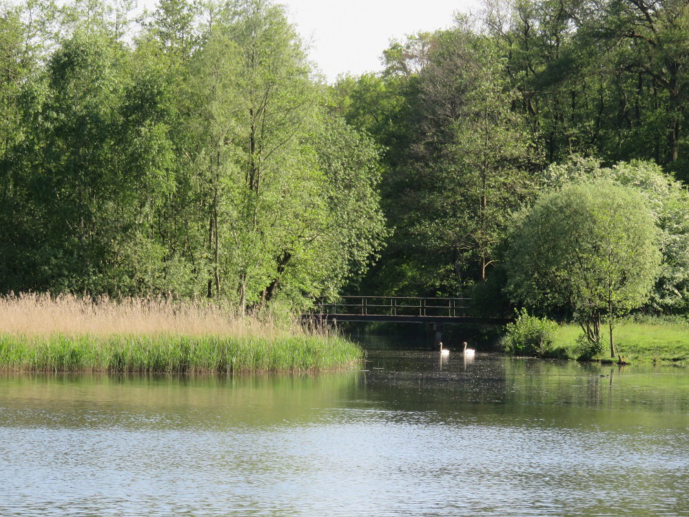 - image: 25