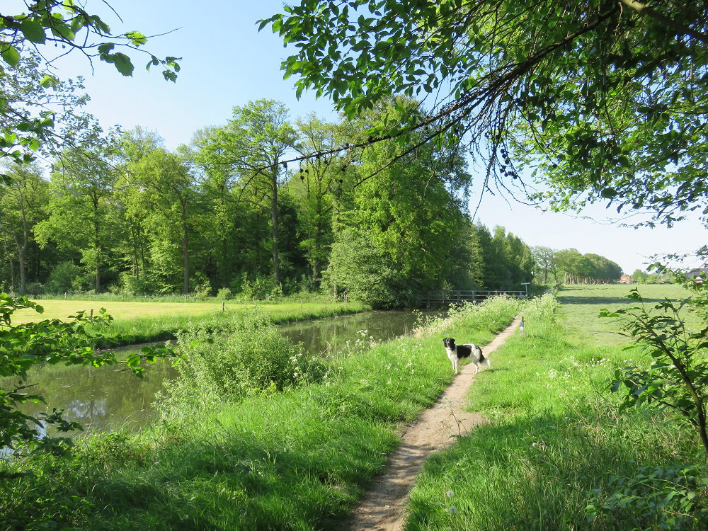 - image: 24