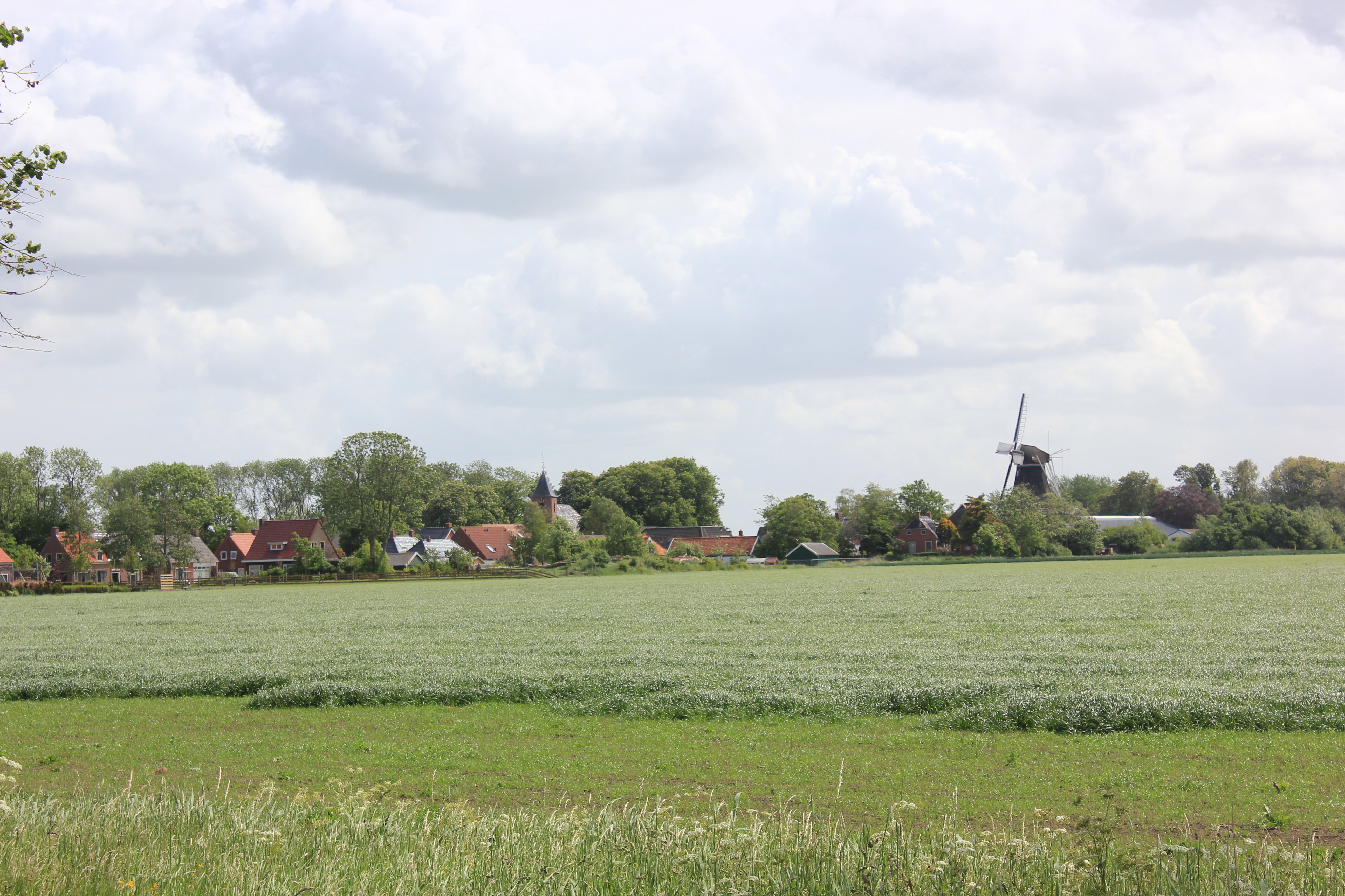 - image: 15