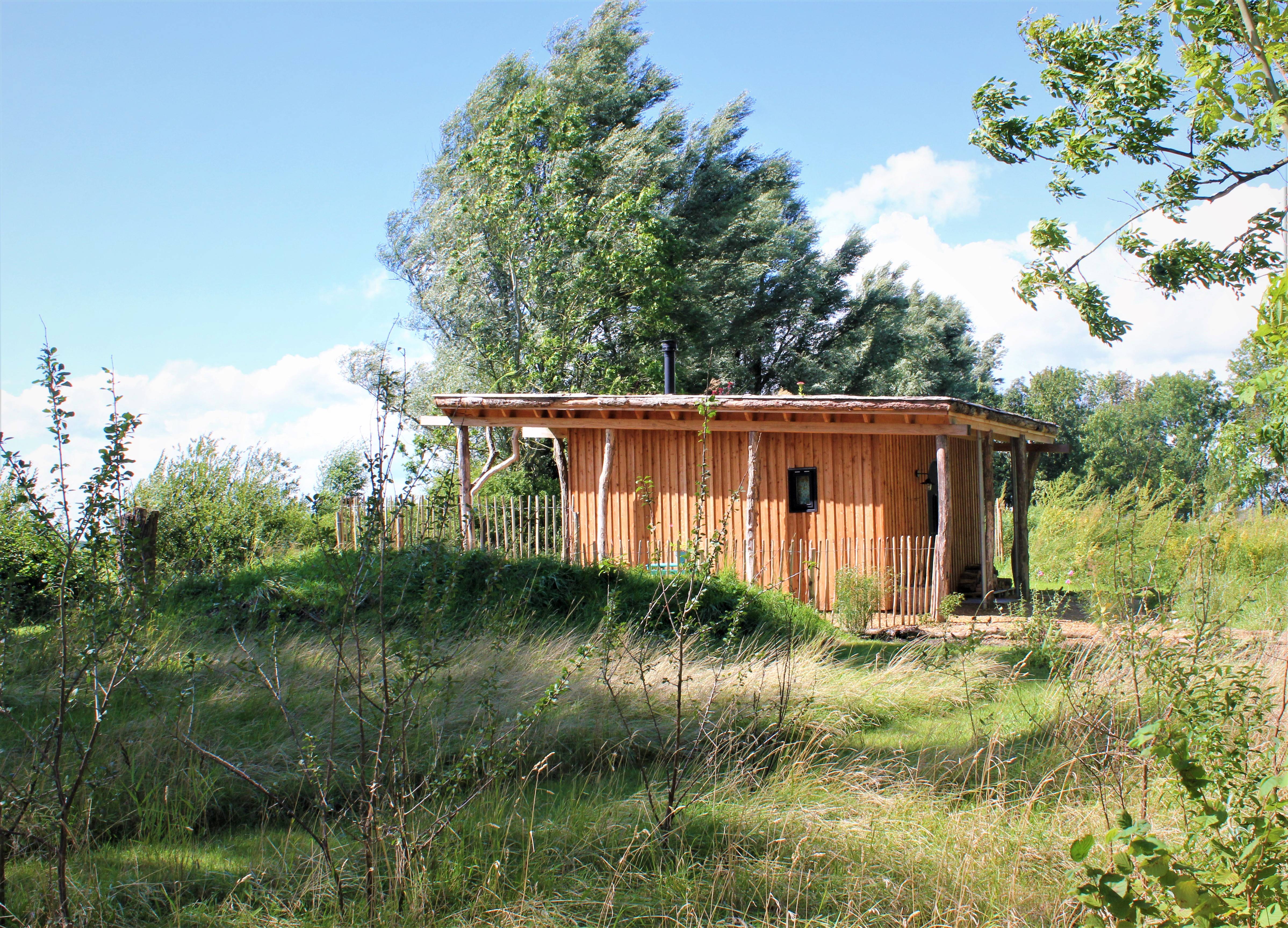 - image: 12