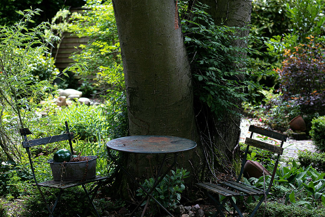 - image: 25