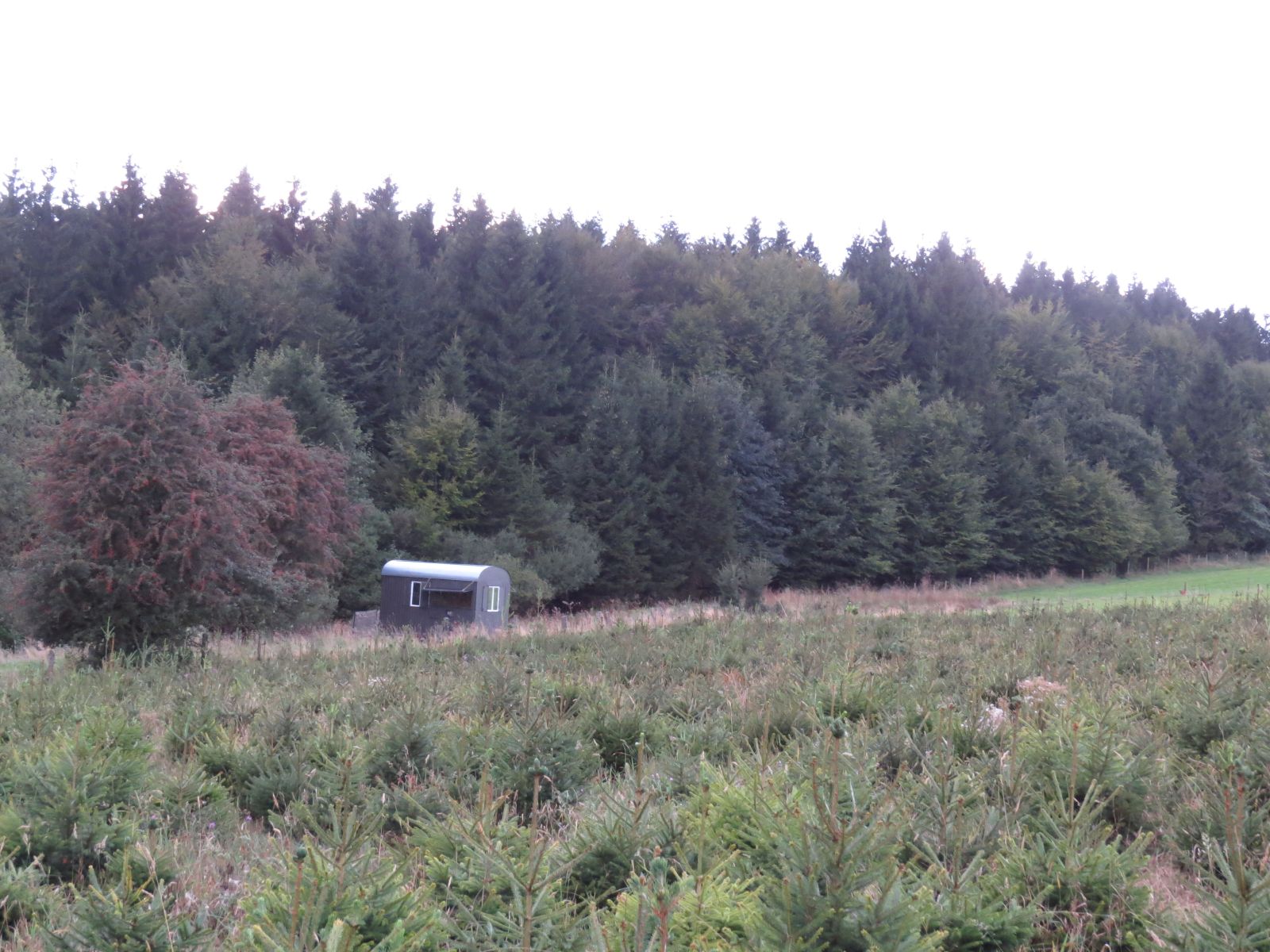 Maison nature à Tailles