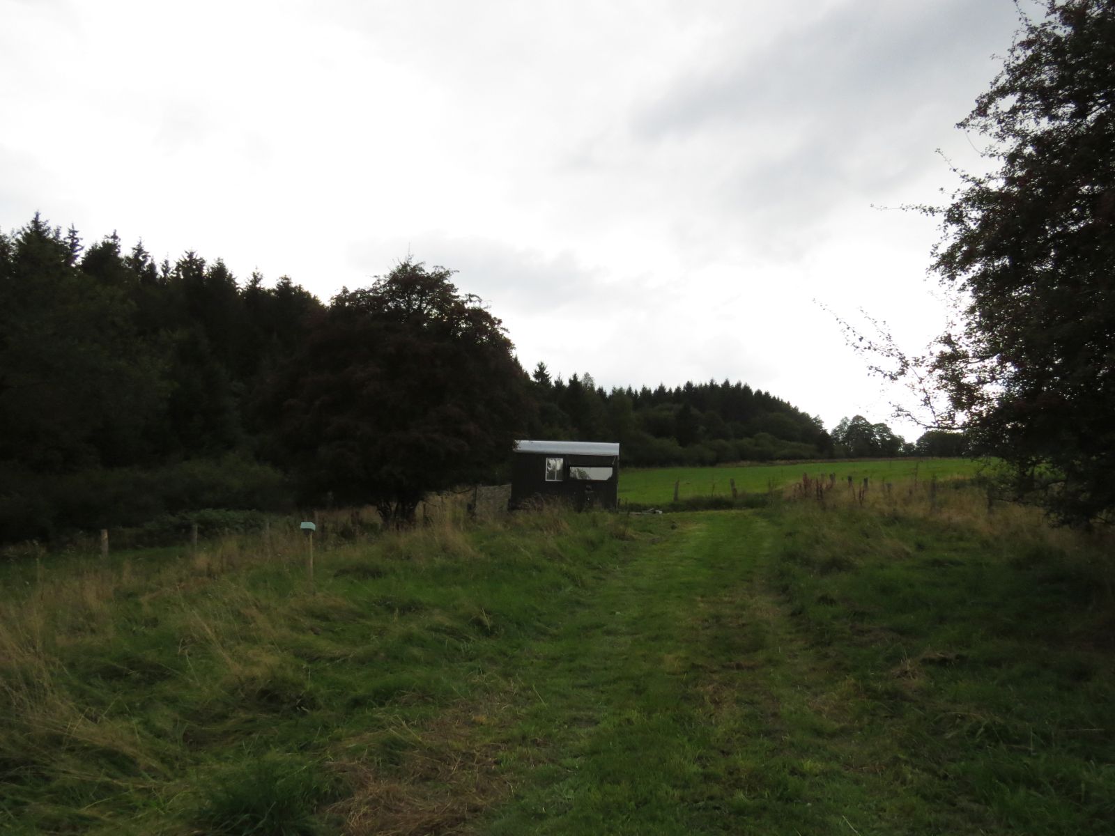 - image: 11