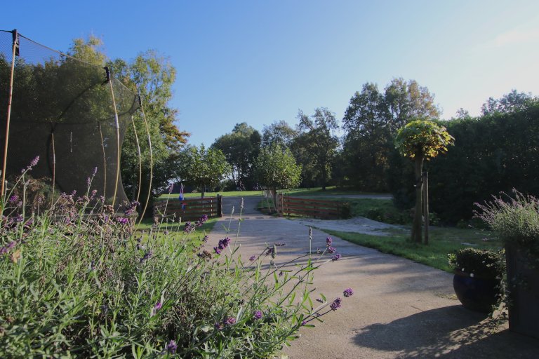 - image: 2