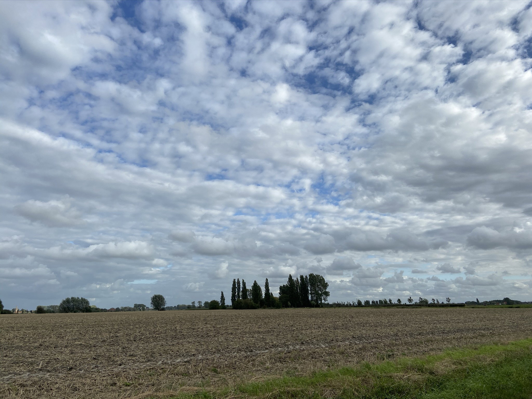 - image: 21