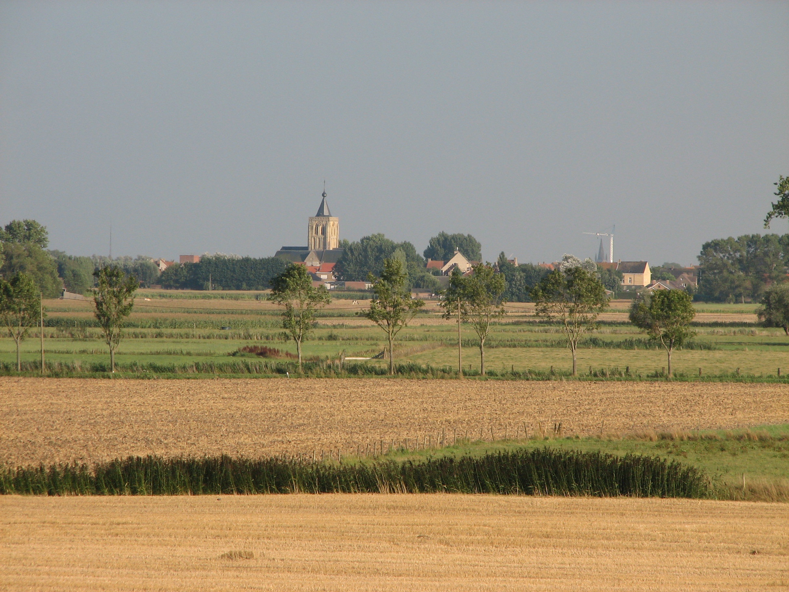 - image: 20