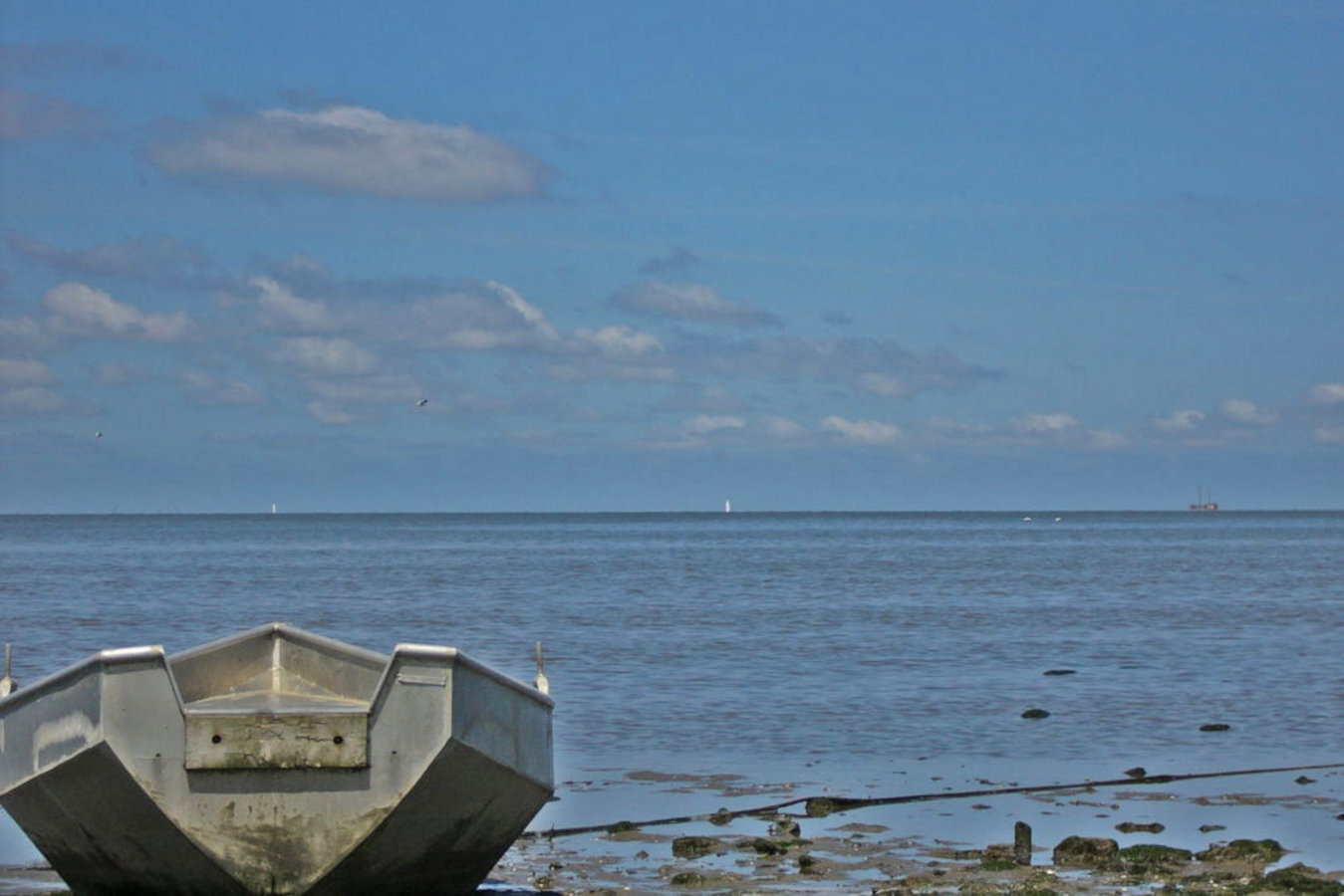 - image: 49