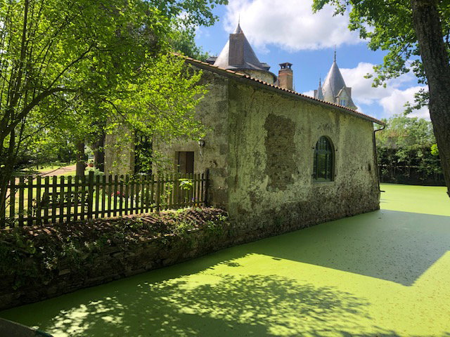 - image: 20