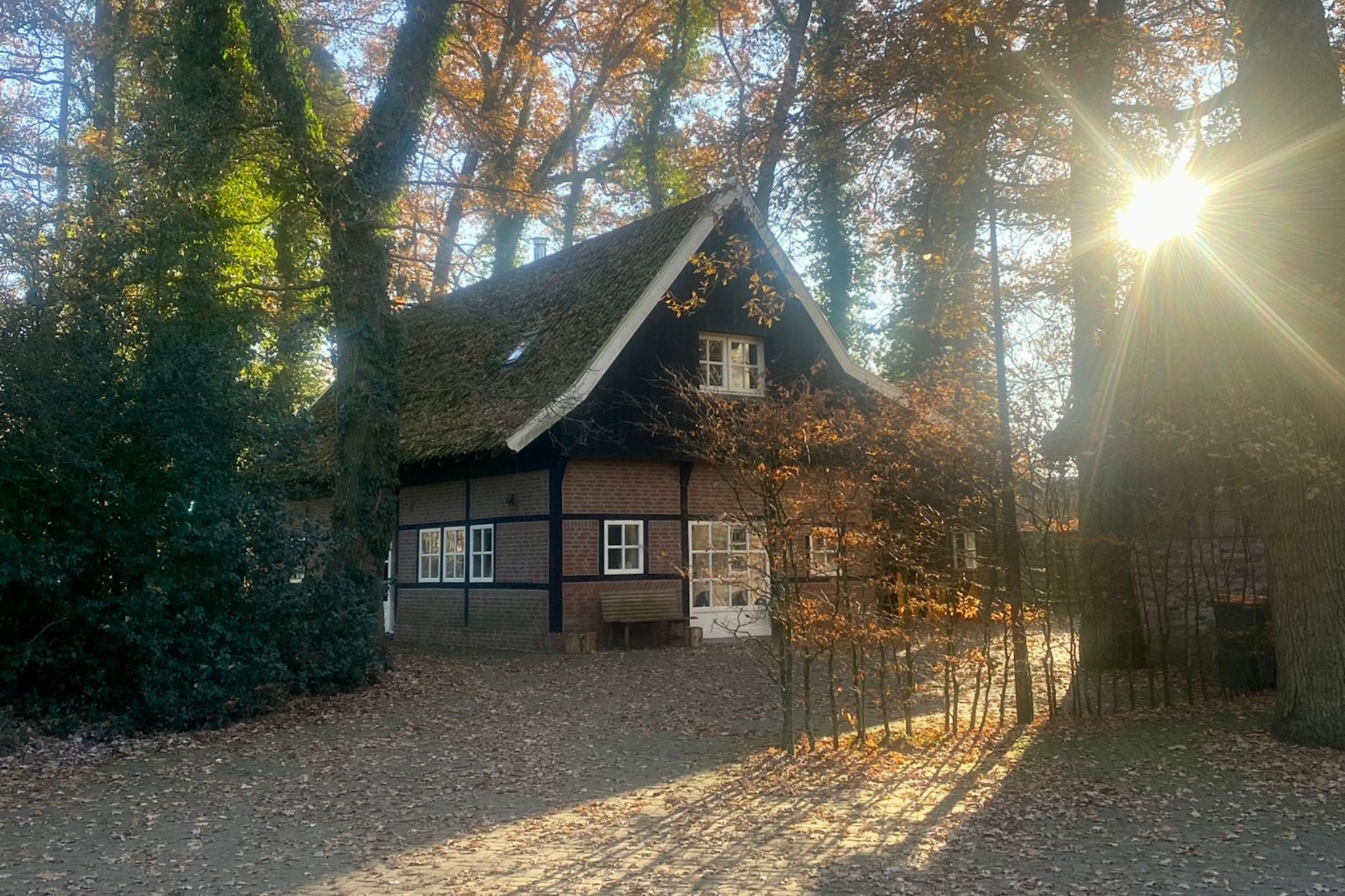 - image: 44