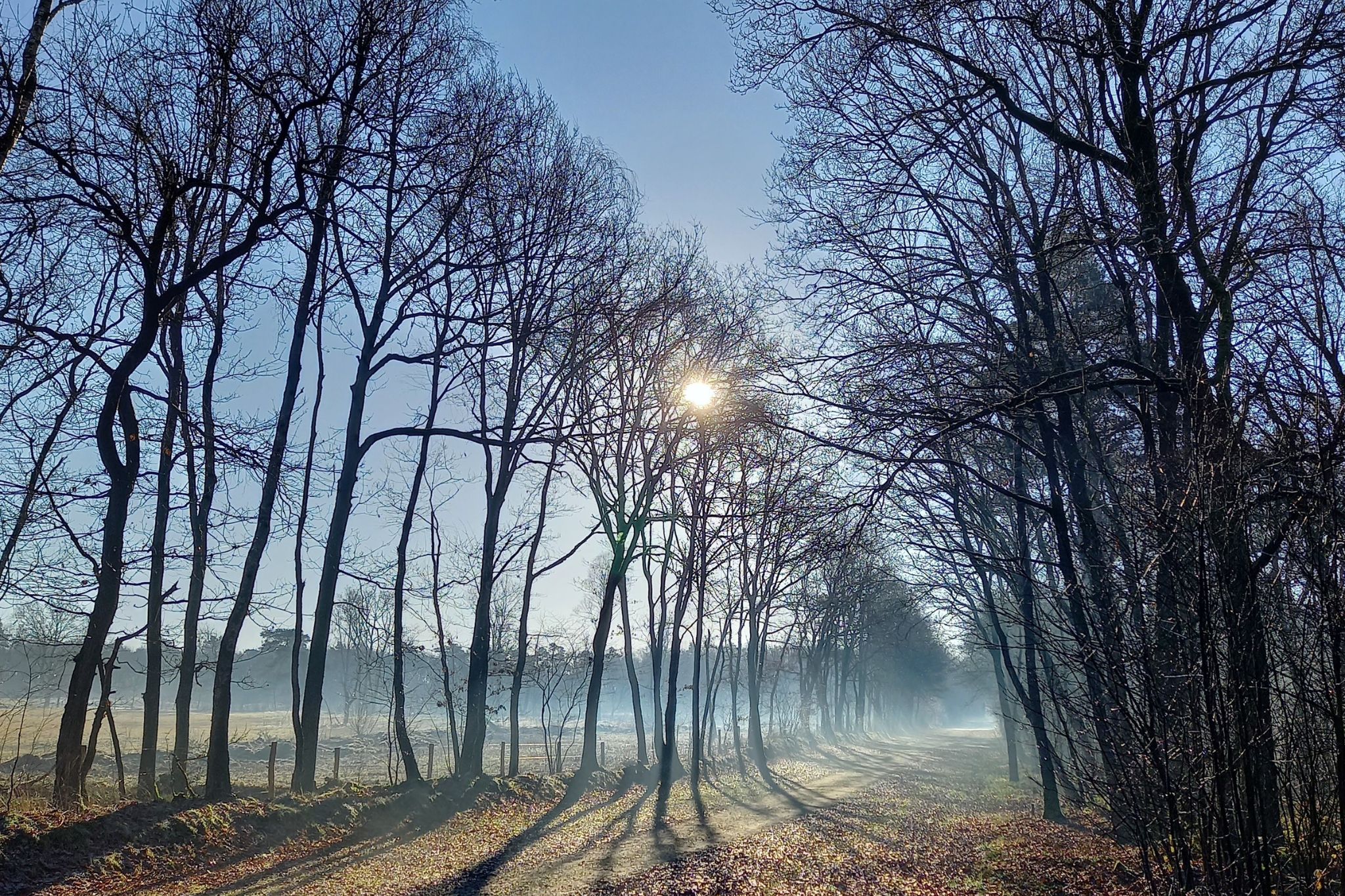 - image: 51