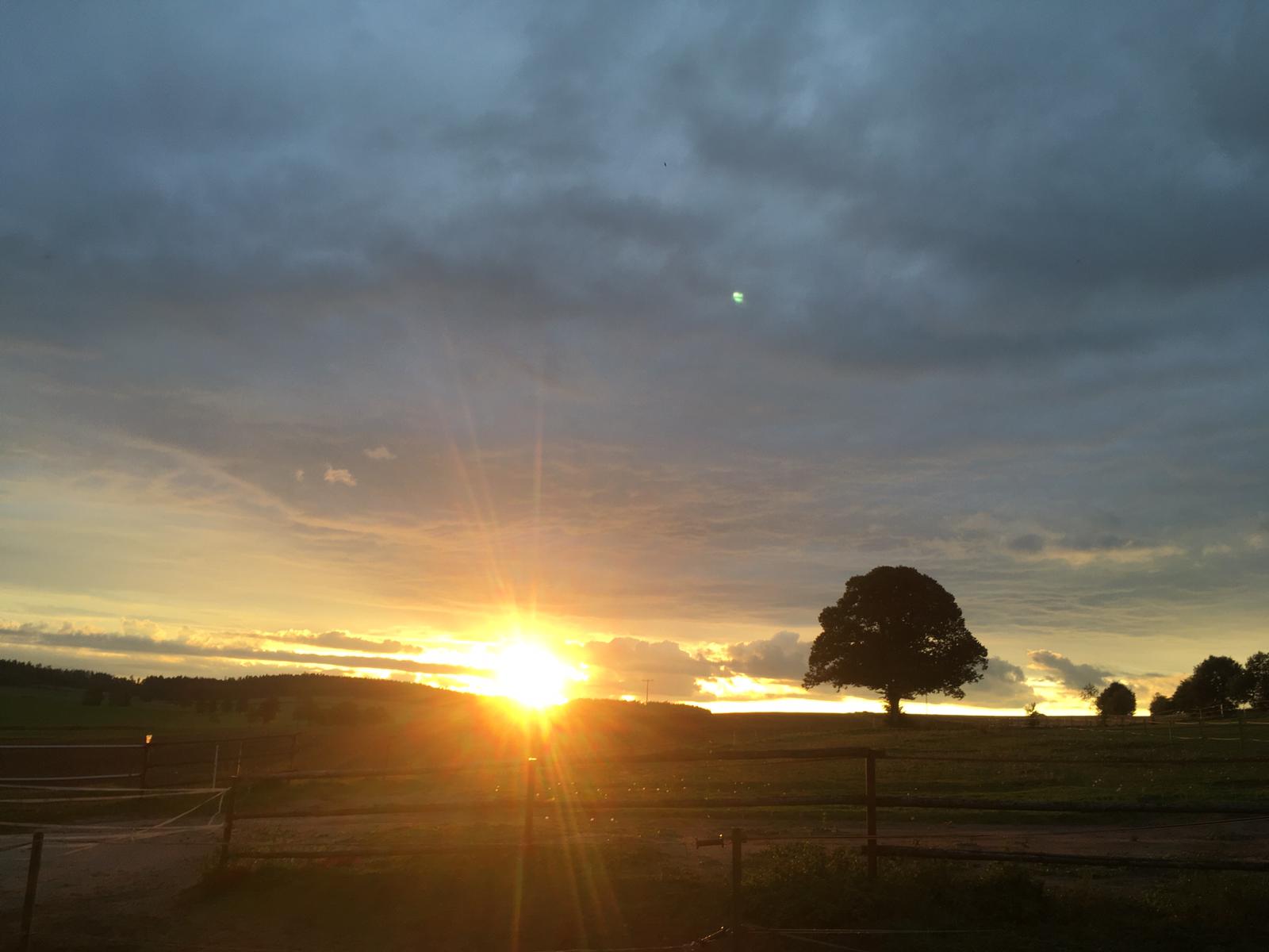 - image: 32