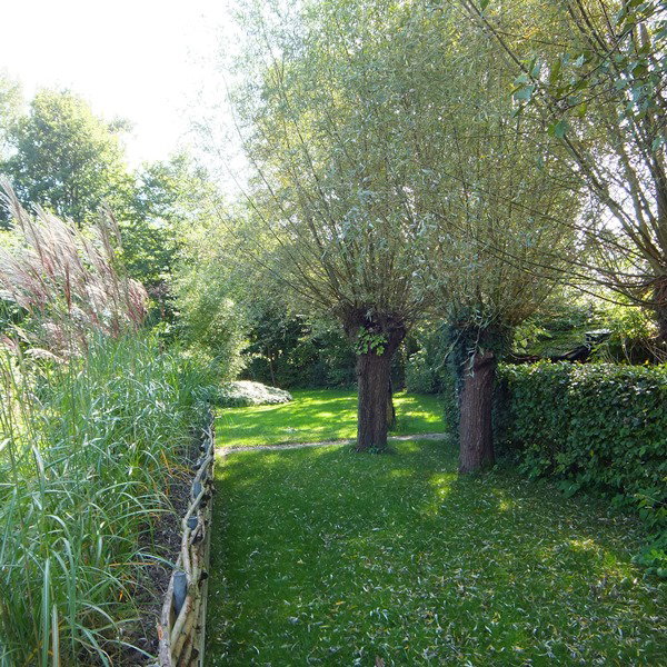- image: 15