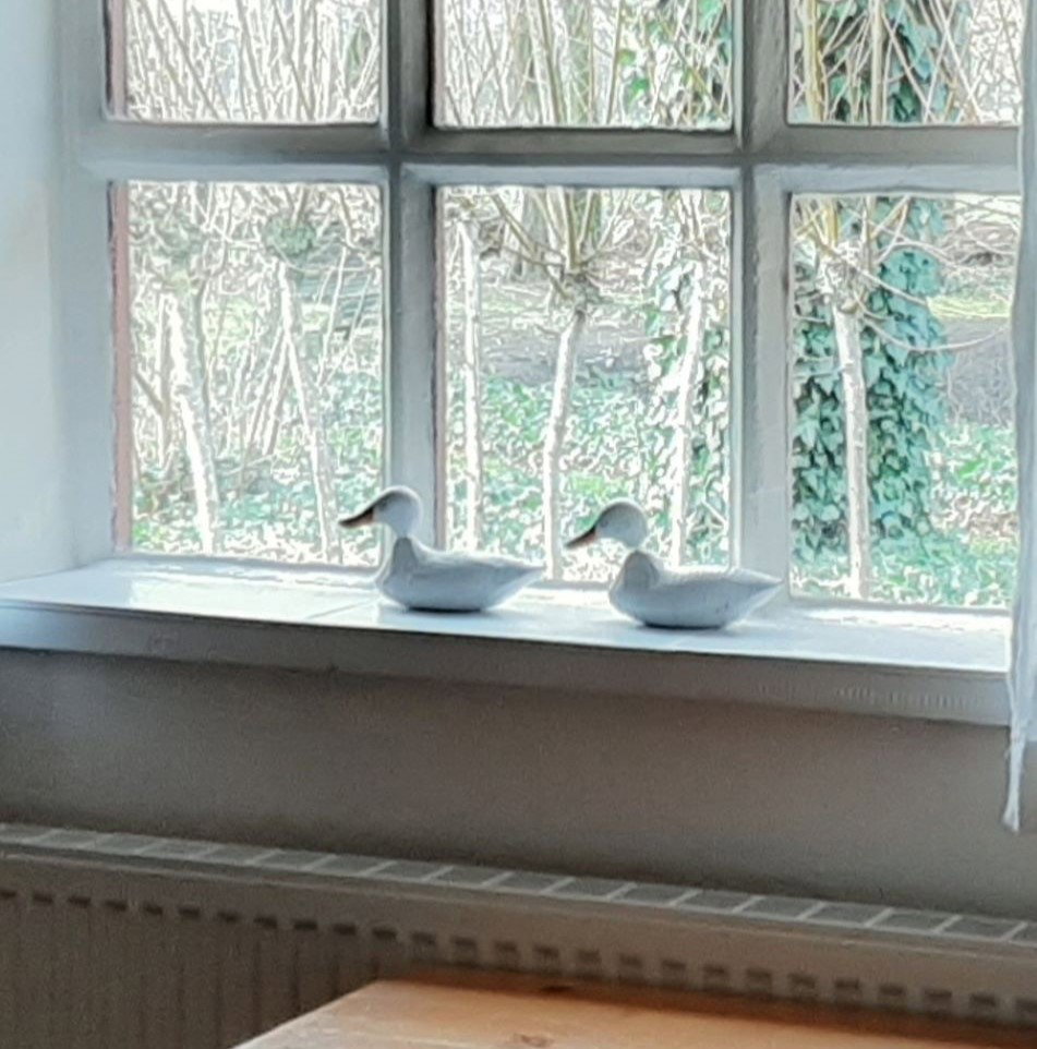 Casa nella natura a Sint-Oedenrode