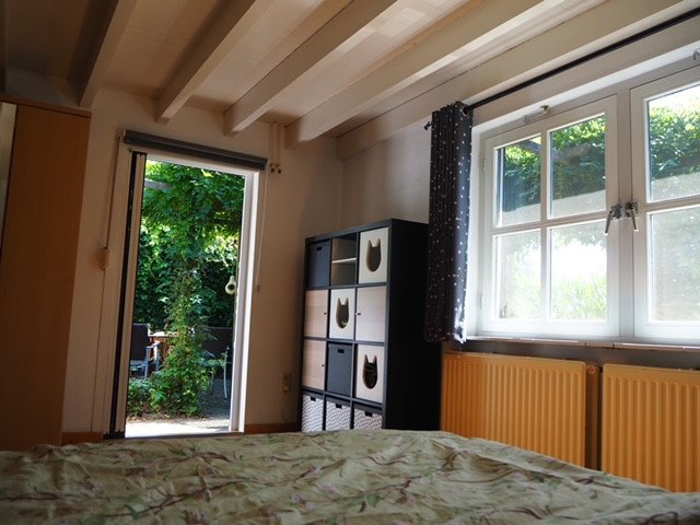 - image: 20