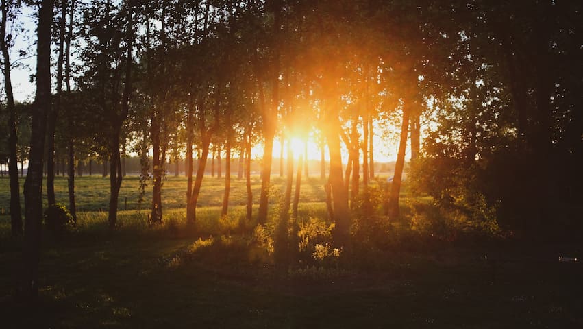 - image: 10