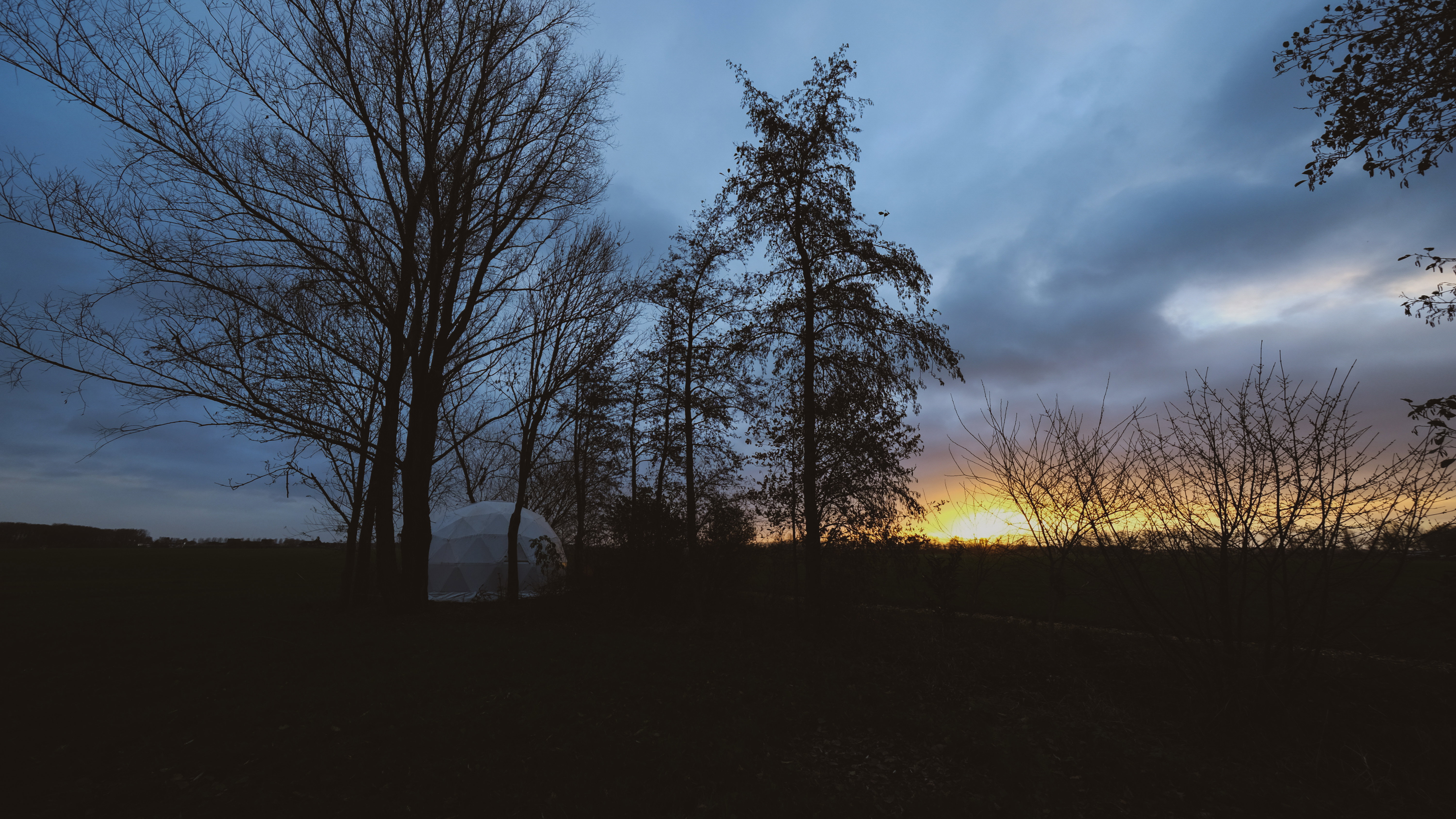 - image: 25