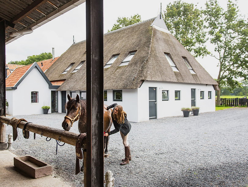 Naturhäuschen in Langedijke