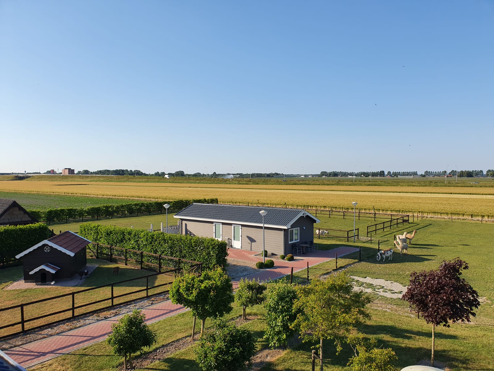 Nature house in Nieuw Vennep
