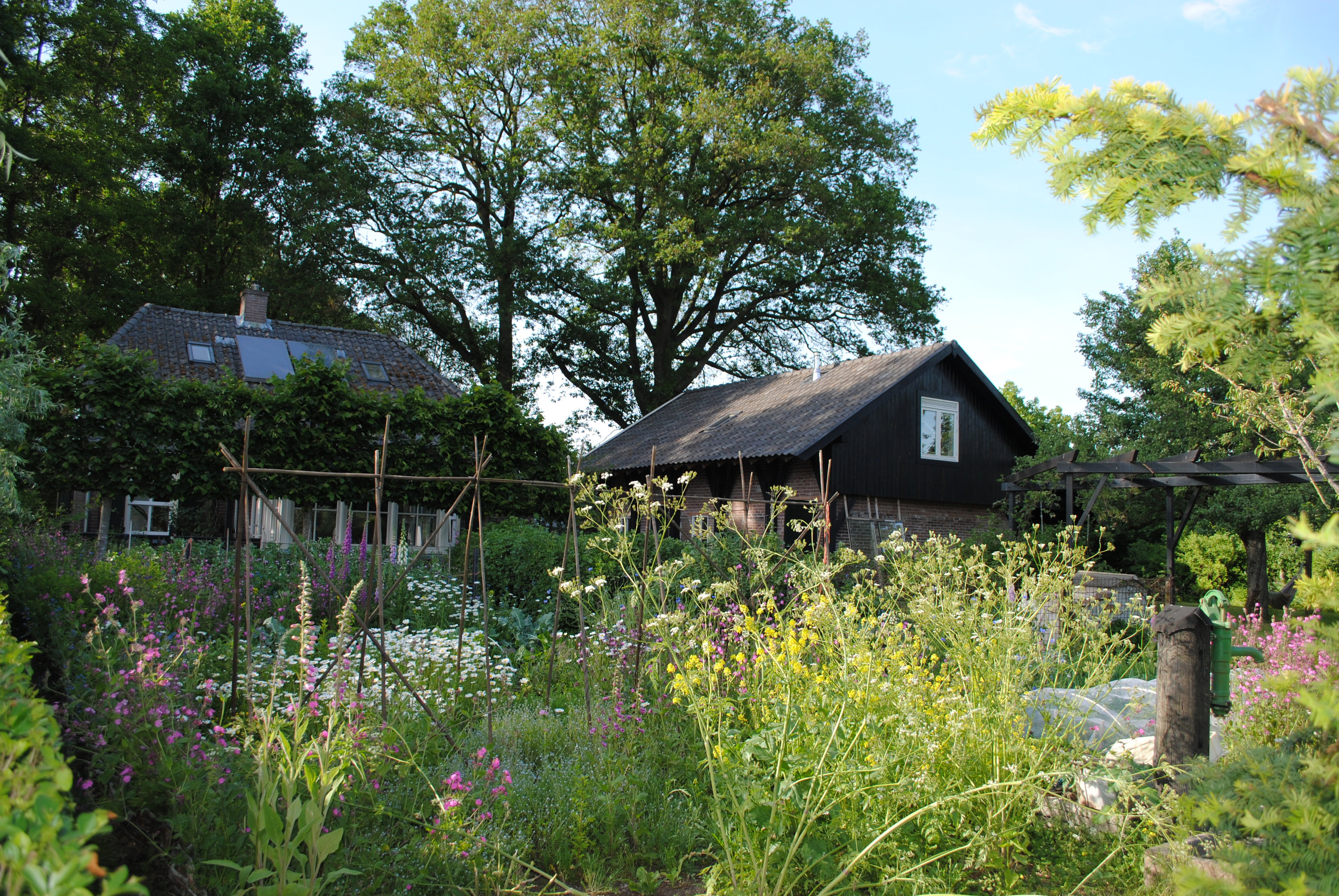 Naturhäuschen in Laren Gld