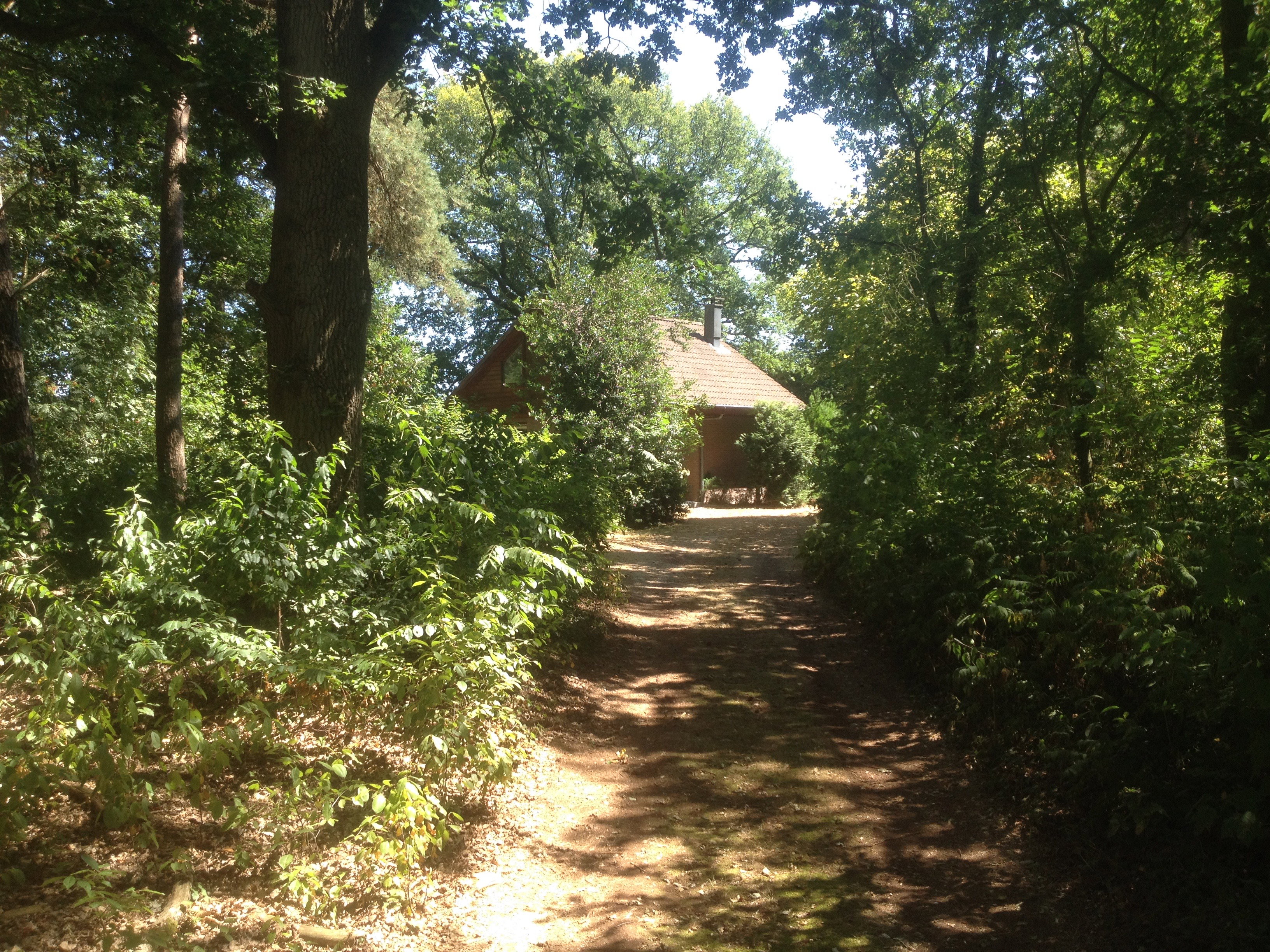 Naturhäuschen in Harfsen