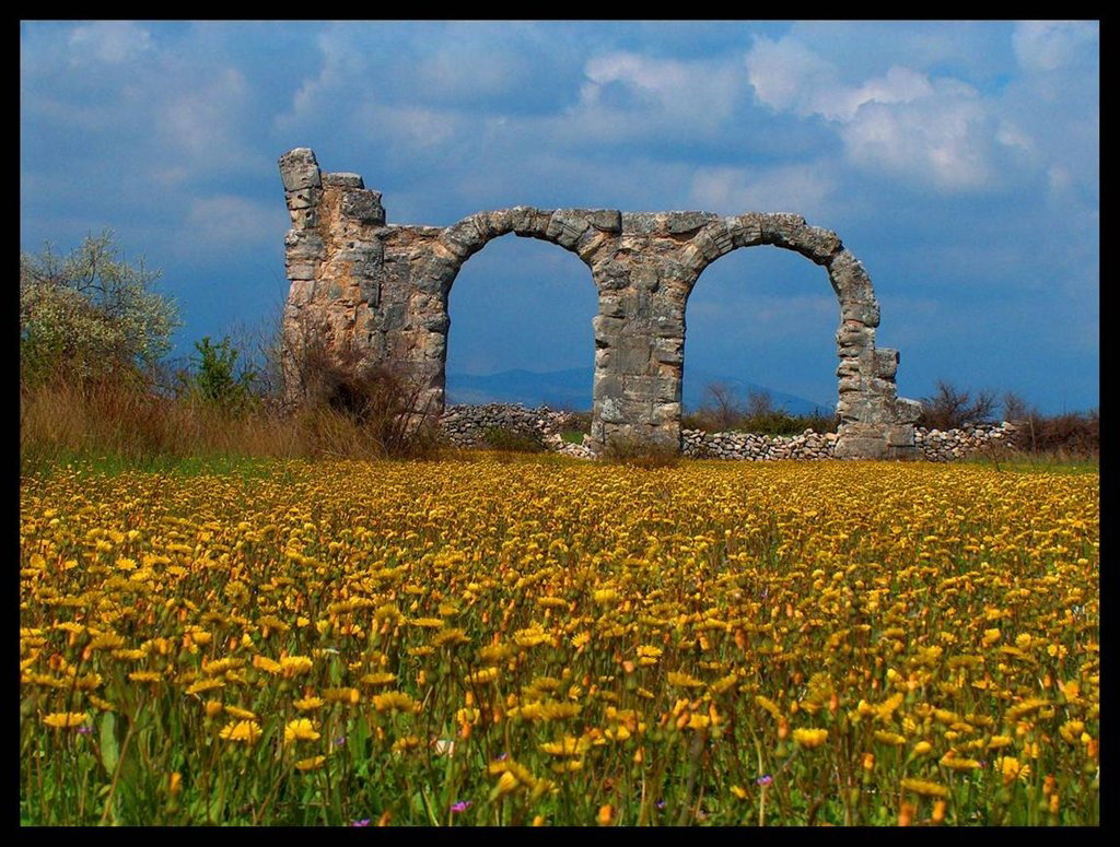 - image: 15