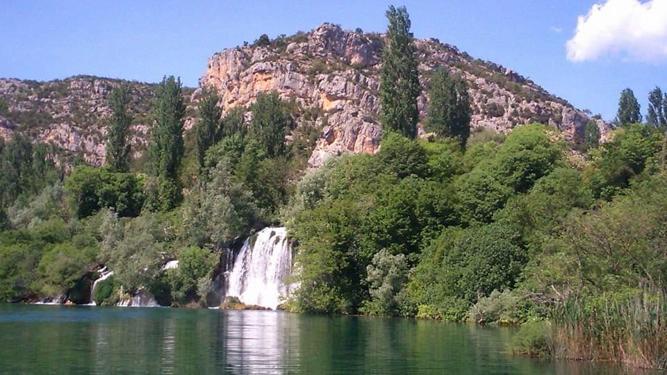 - image: 25