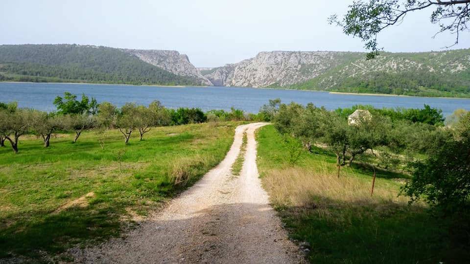 - image: 17