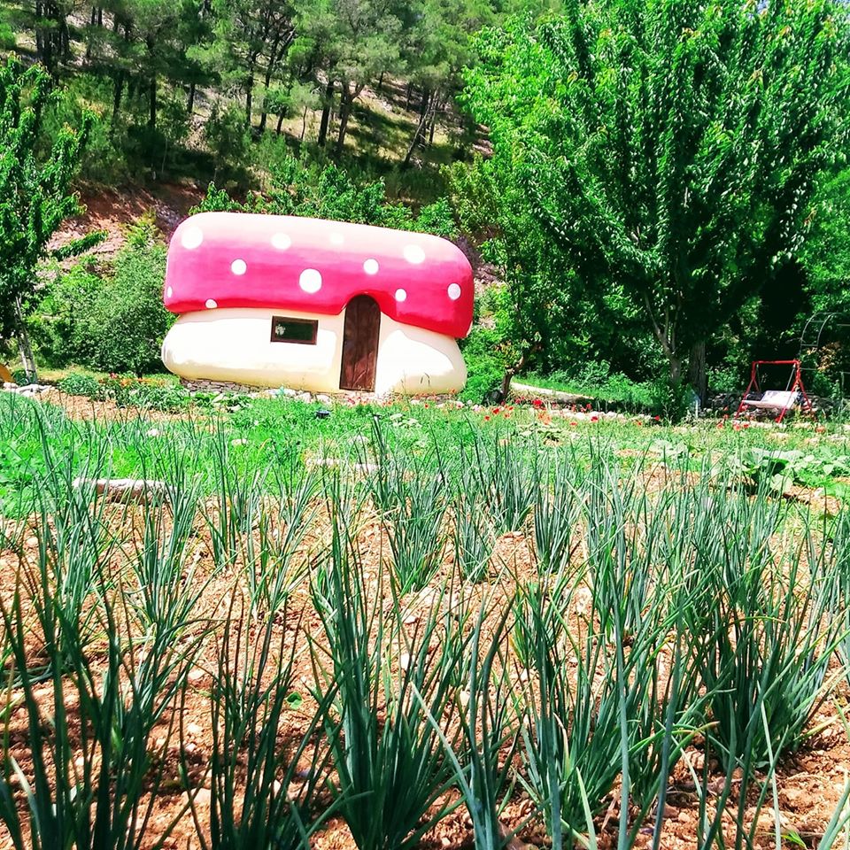 Maison nature à Rupe