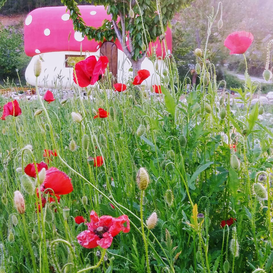 Maison nature à Rupe