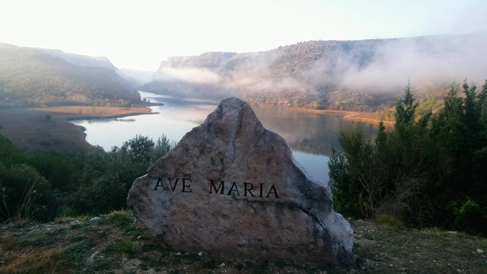 - image: 16