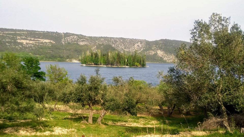 - image: 46