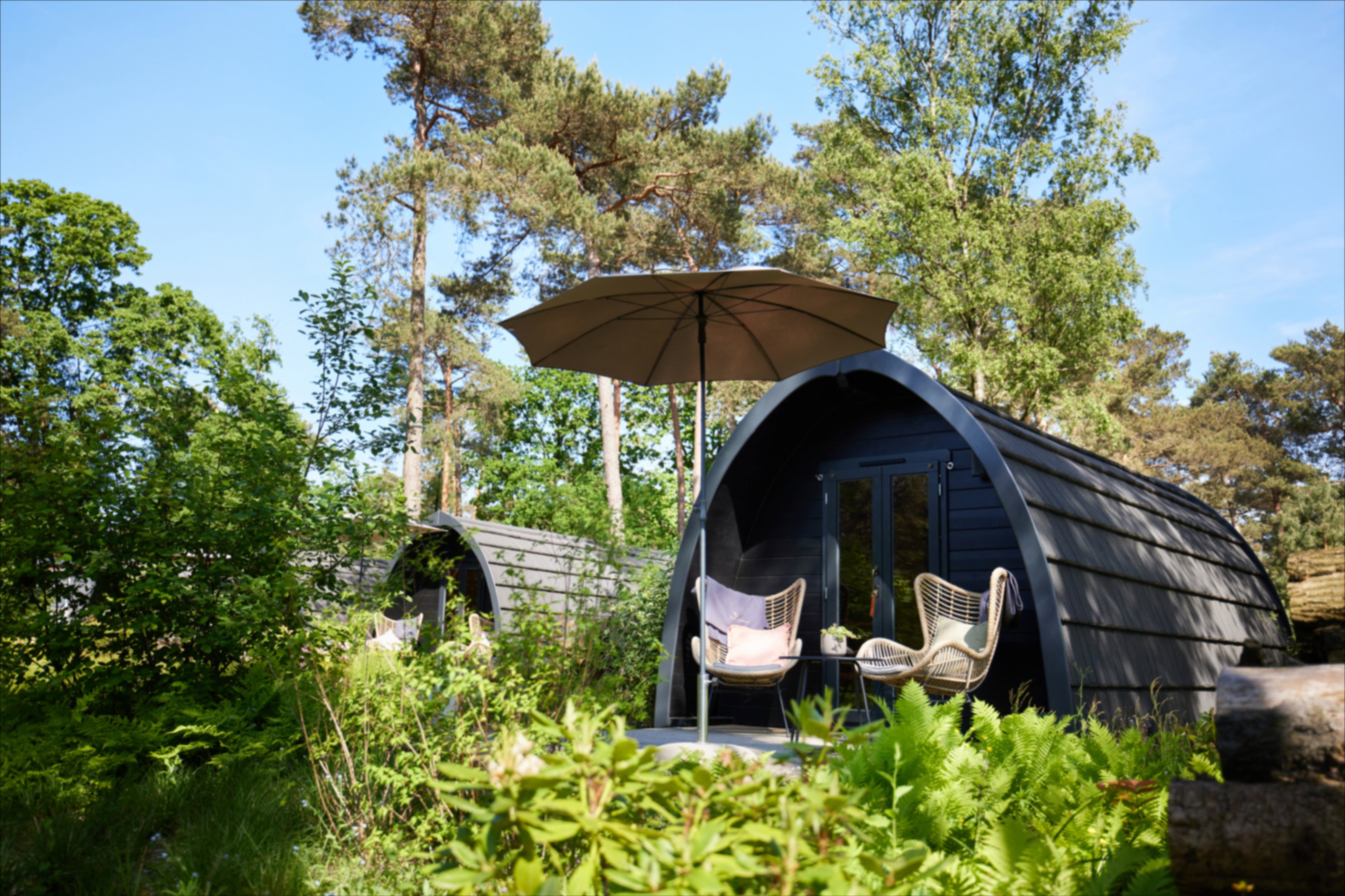 Natuurhuisje in Oisterwijk