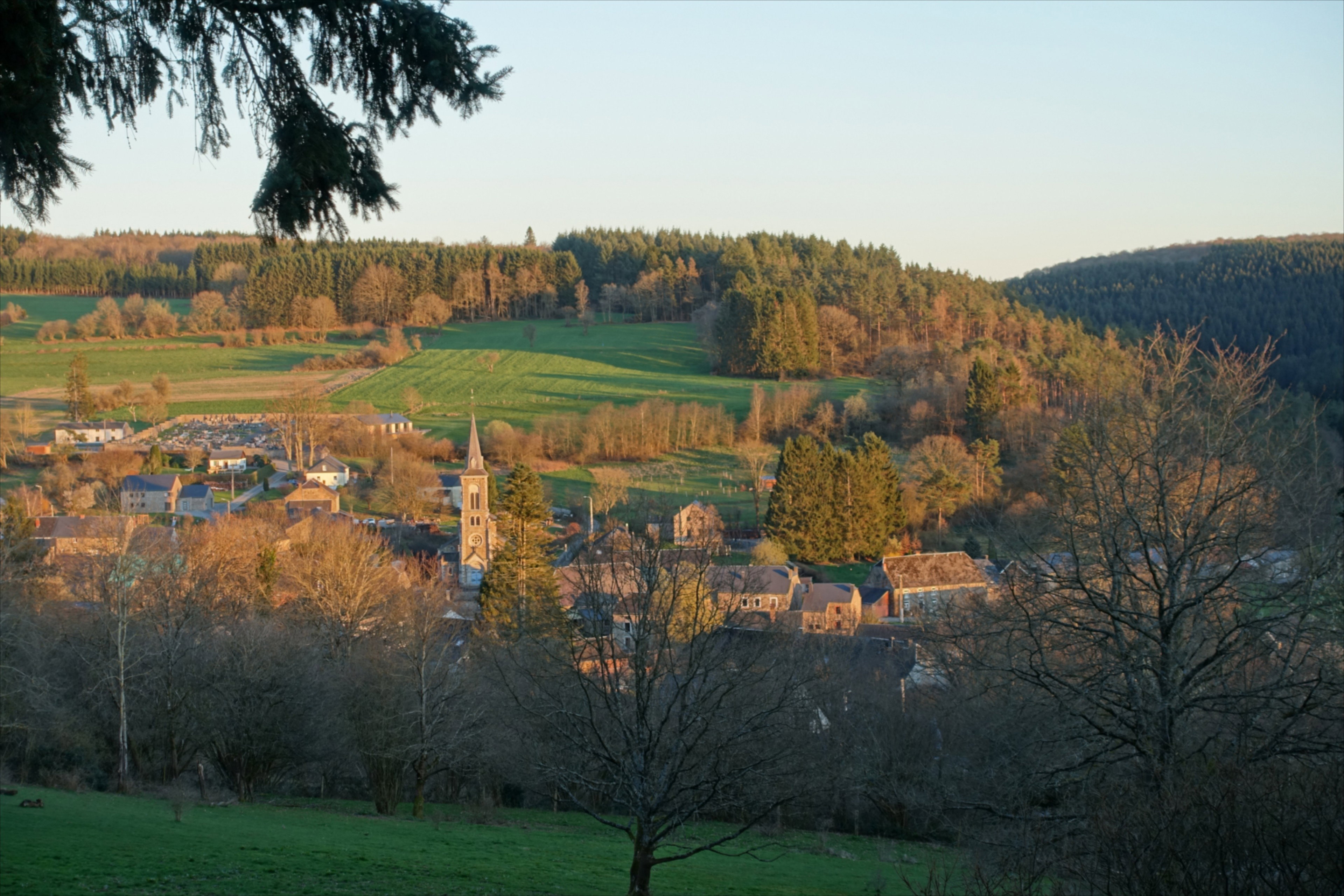 - image: 55