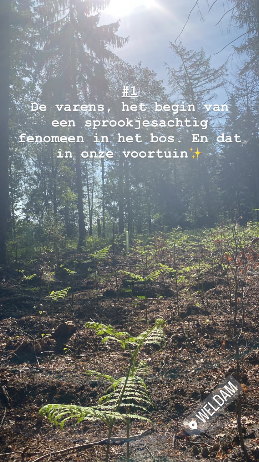 - image: 39