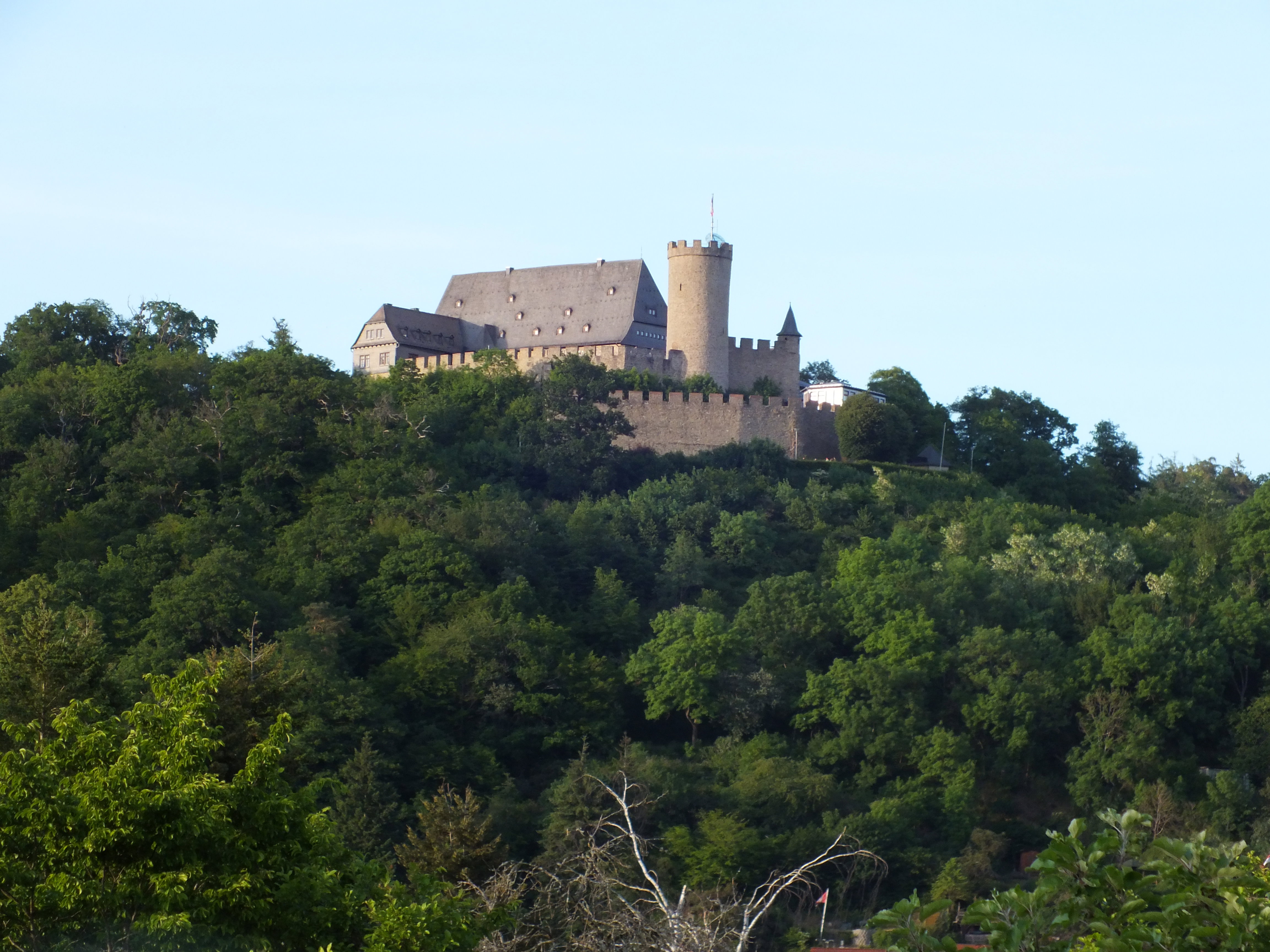 - image: 13