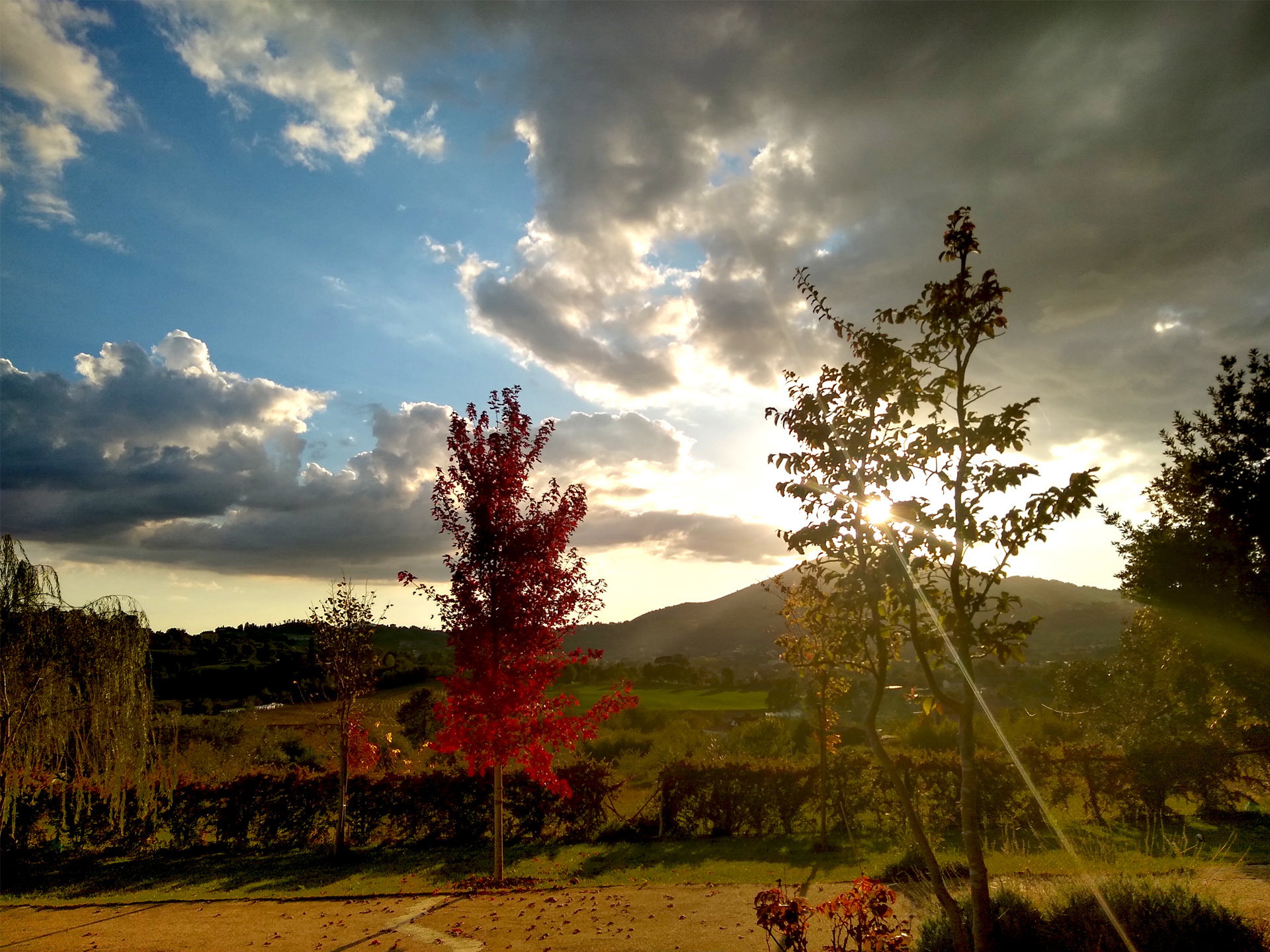 - image: 27