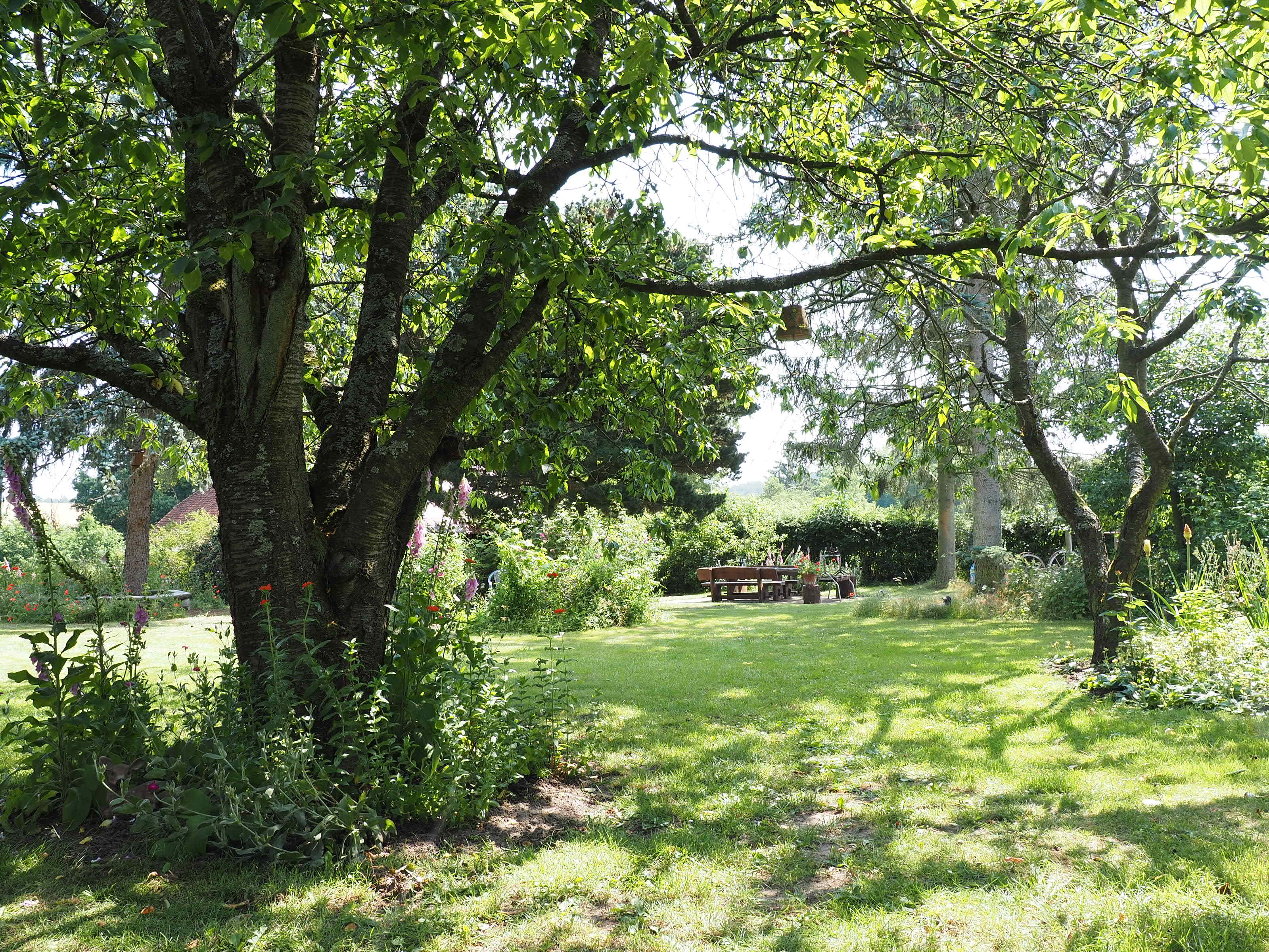 Natuurhuisje in Nahrendorf