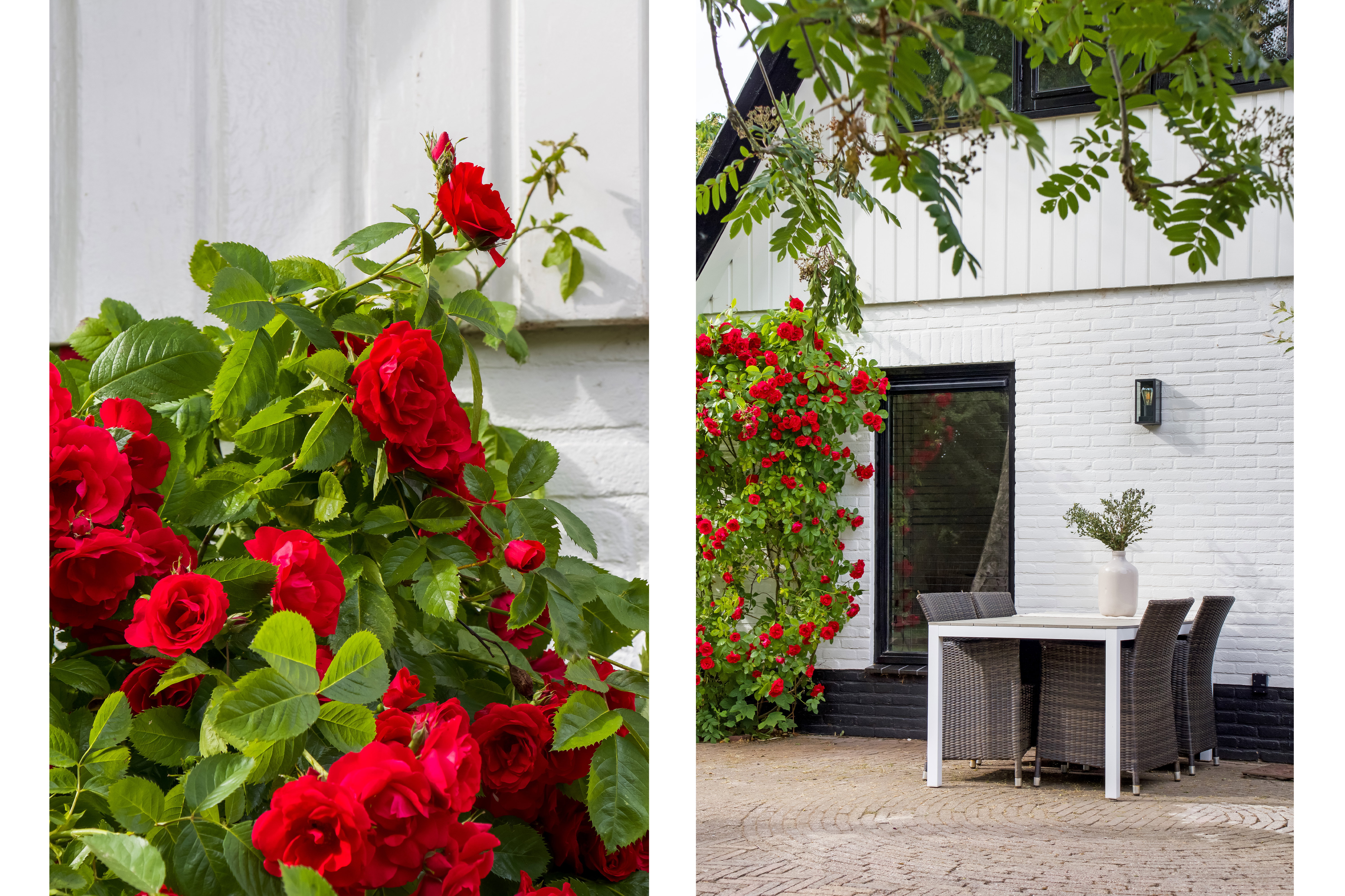 Nature house in Zuidoostbeemster