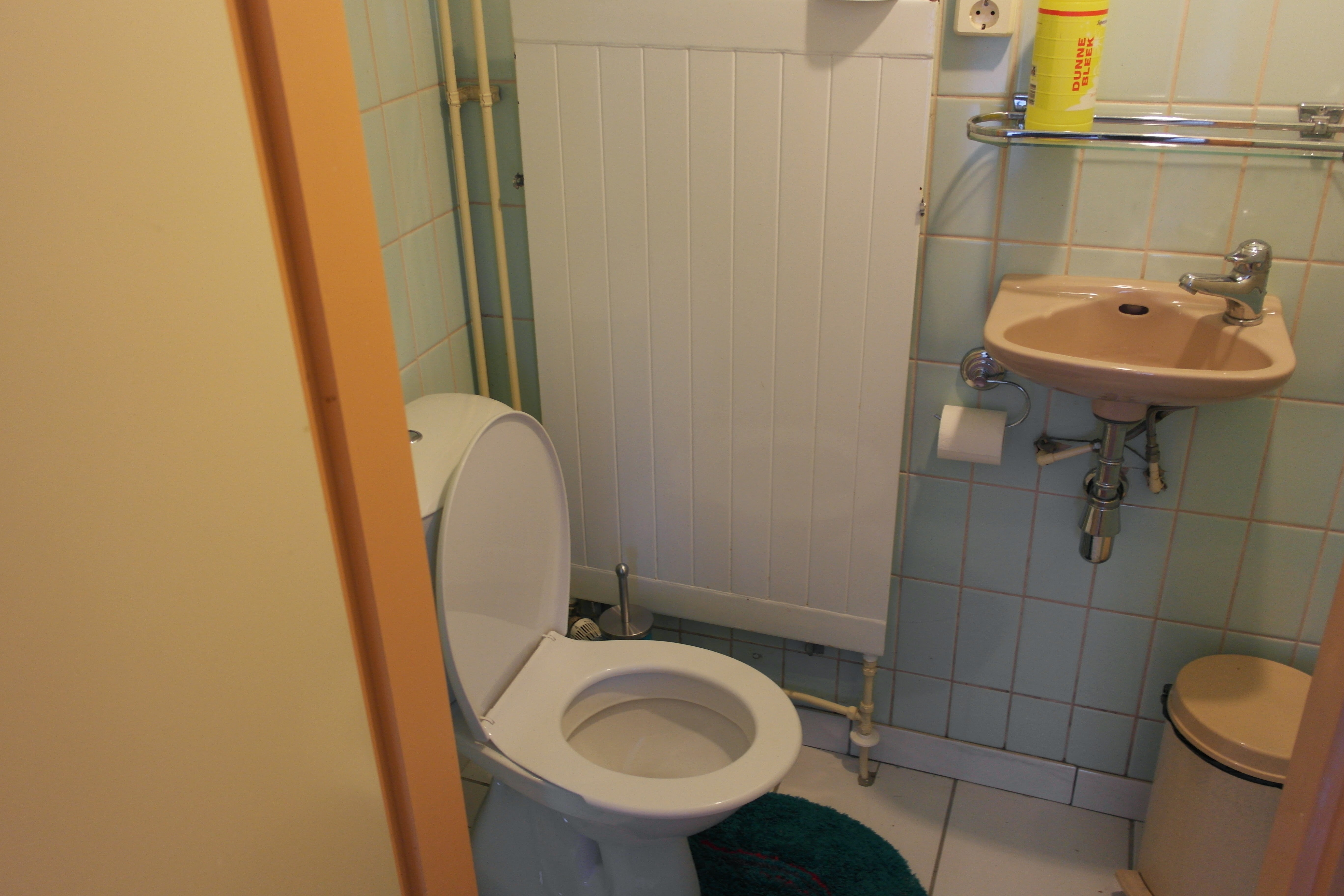 - image: 12