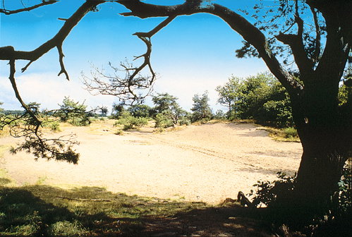 Naturhäuschen in Langedijke