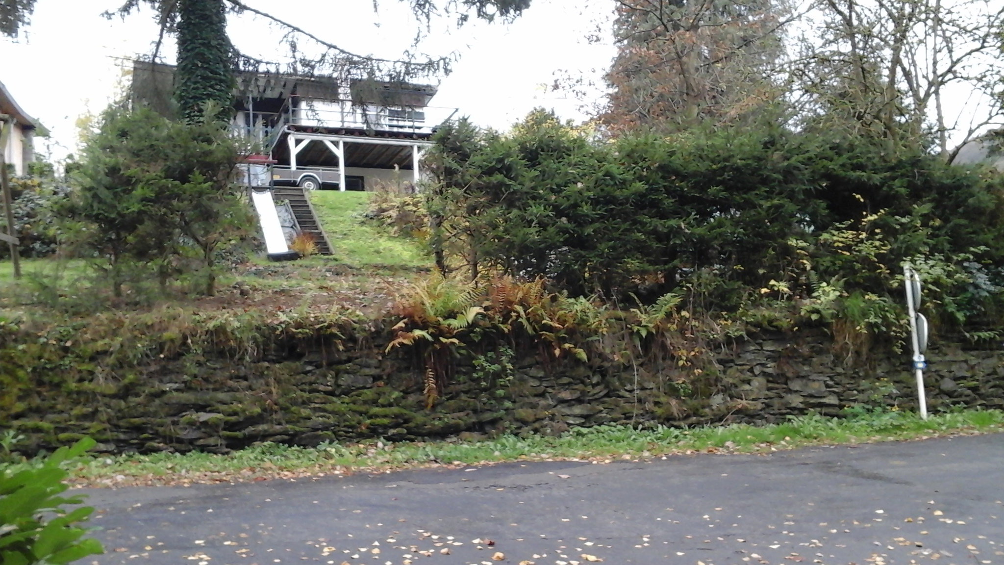 - image: 14